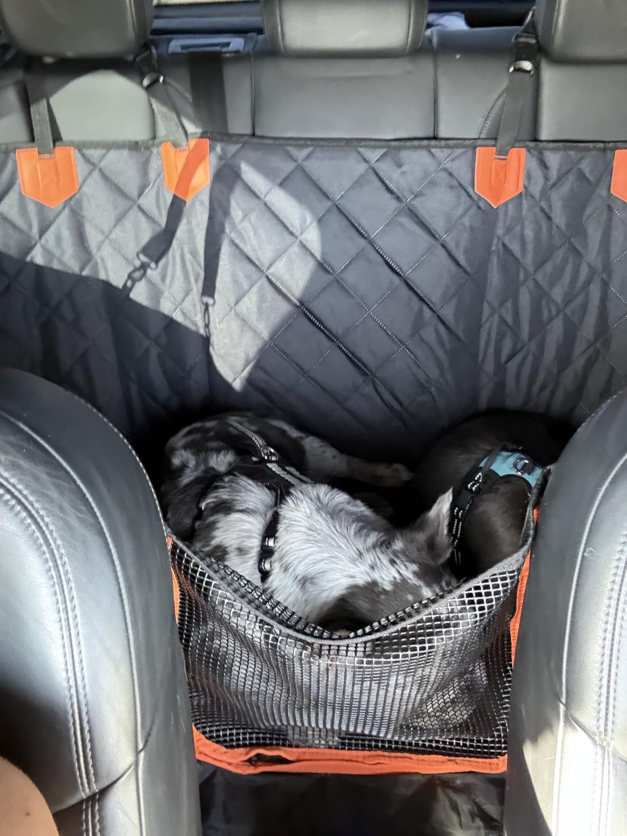 IJVAE Dog Seat Cover for Back Seat, Hard Bottom Back Seat Extender Holds 500 lbs, Waterproof & Nonslip Car Hammock for Large Pets, Comfortable Travel Seat Protector for SUV and Sedan customer photo 2