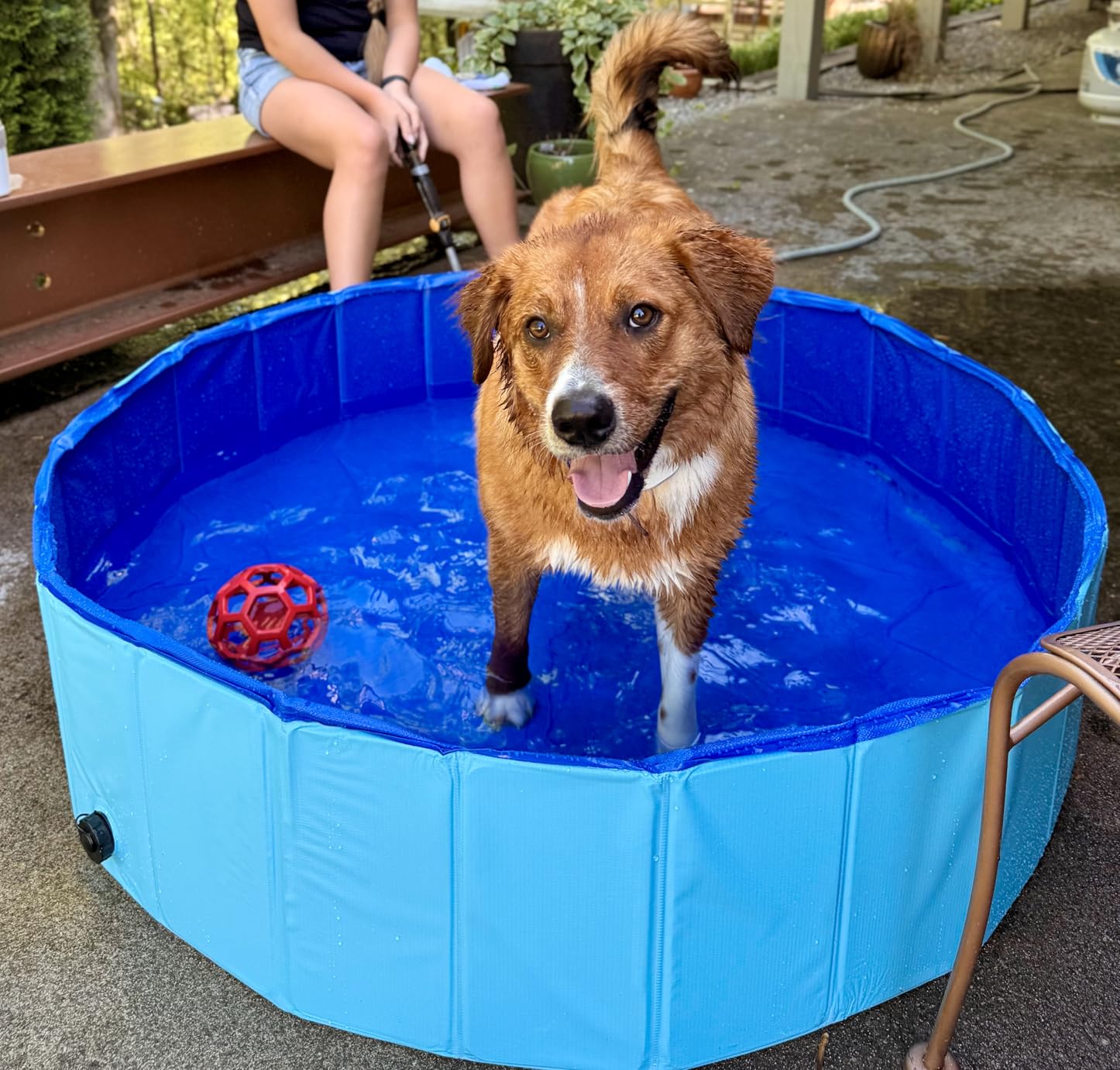 Sloosh Foldable Dog Kiddie Pool - Portable Hard Plastic Doggie Swimming Pool, Anti-Slip Collapsible Pets Bath Tub Suitable for Kids Indoor Outdoor Backyard Use (Blue, 32