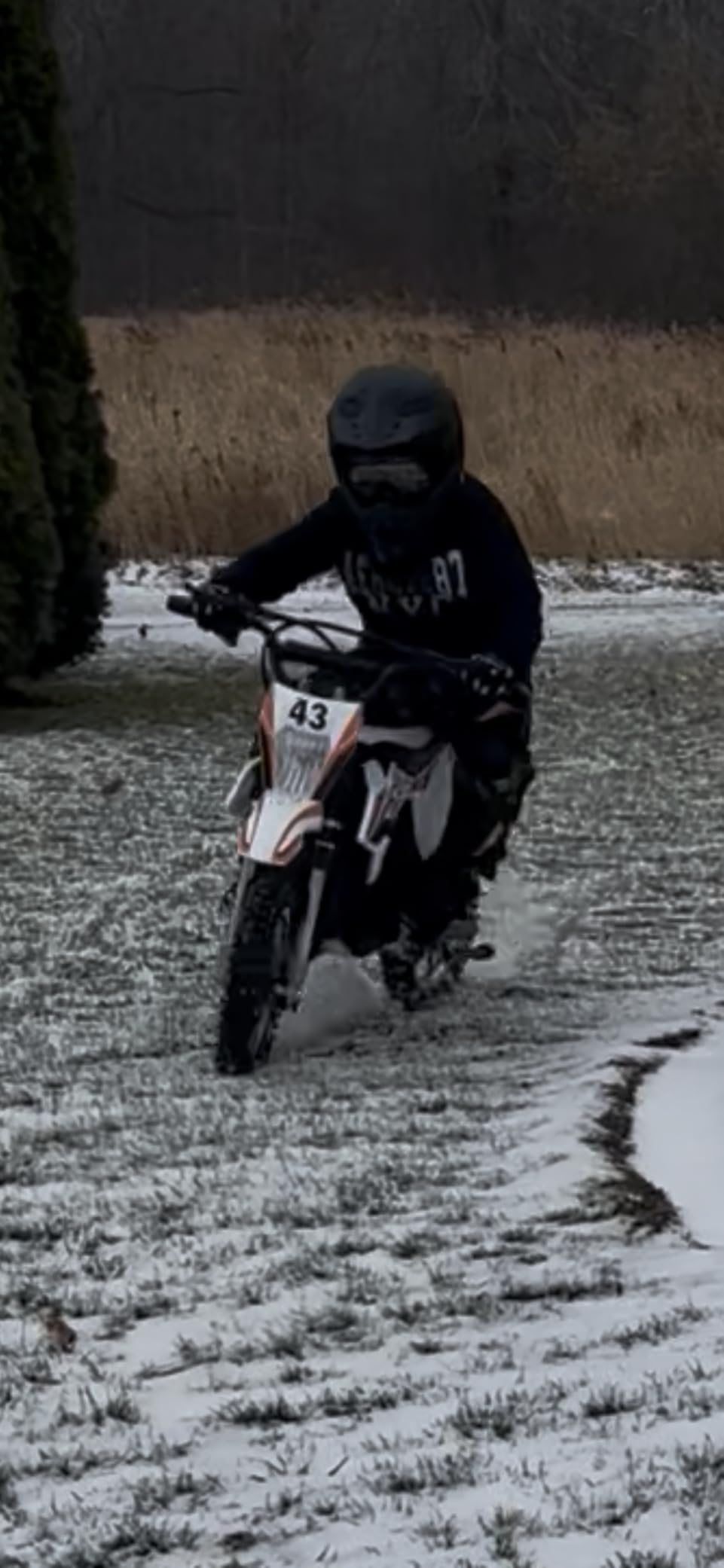 Blitzshark 36V 650W Kids Electric Dirt Bike Off-Road Motocross Ultra Powerful Motorcycle, with 17MPH MAX Speed, Rubber Tire, Twist Grip Throttle, Dual Suspension & Brakes, Leather Seat, SRK-MC20 Pro customer photo 2