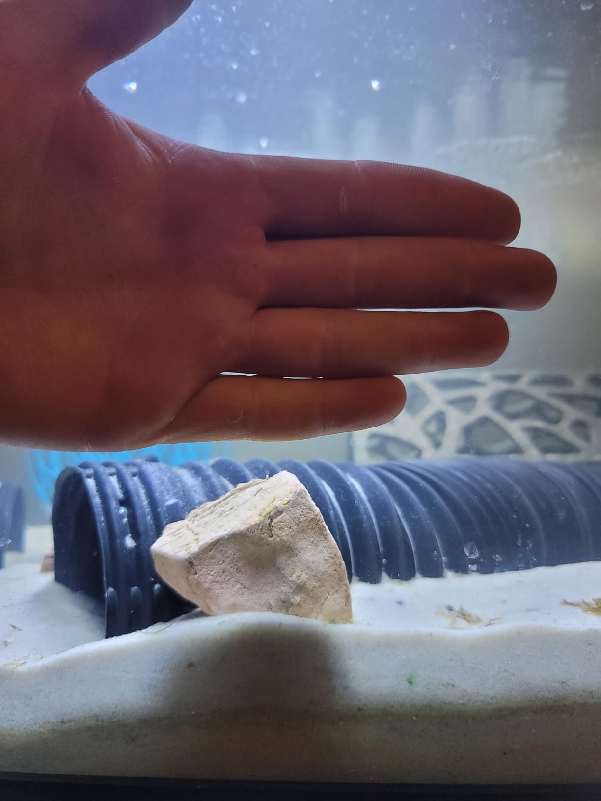 Aquarium Rocks 5lb Fish Tank Stone 2-5 inch Natural Pagoda Rocks for Aquascaping Landscaping Models Terrariums Reptile and Amphibian Enclosures-4-5Pcs customer photo 2