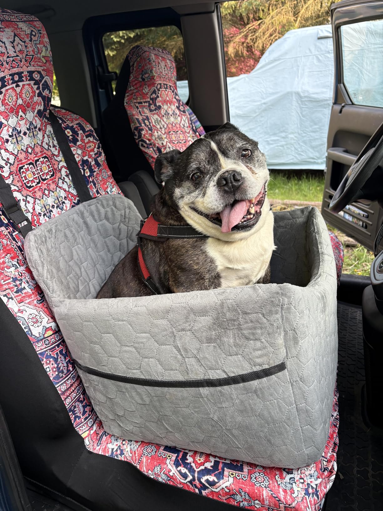 Dog Car Seat for Small/Medium Dogs, Memory Foam Dog Booster Seat, Travel Safety Pet Car Seat with Washable Removable Cover, Storage Pockets for Dogs up to 35 lbs customer photo 2