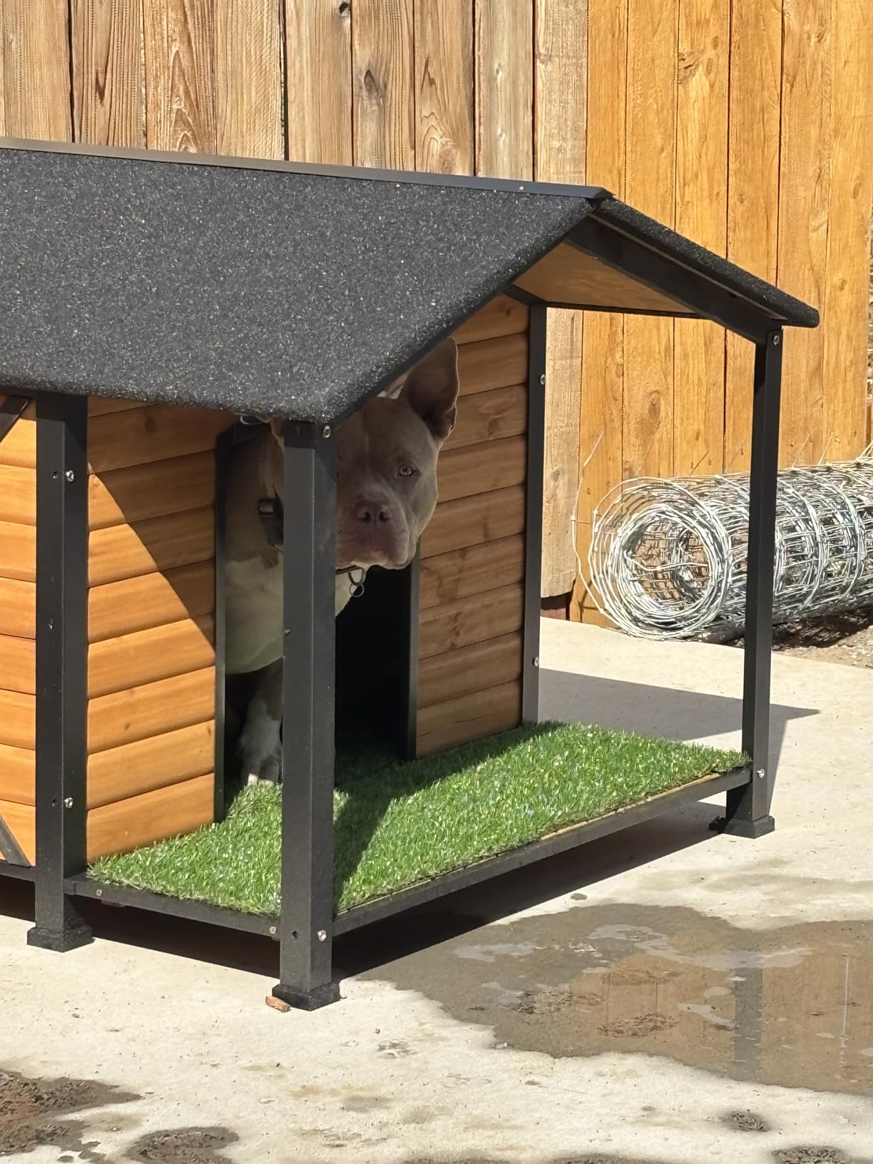 Gutinneen Dog House Outdoor Heated Dog Kennel with Insulation Liner for Winter Waterproof Dog Cage for Small & Medium & Large Dogs,Unique All-Around Iron Frame customer photo 1