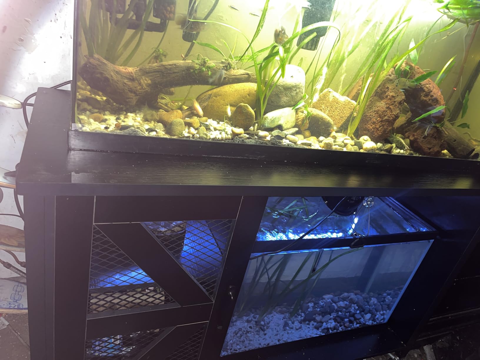 Verano 55-75 Gallon Aquarium Stand with Storage Cabinet, Fish Tank Stand with Power Outlets & LED Light, Heavy Duty Steel Frame, 1100LBS Capacity customer photo 1