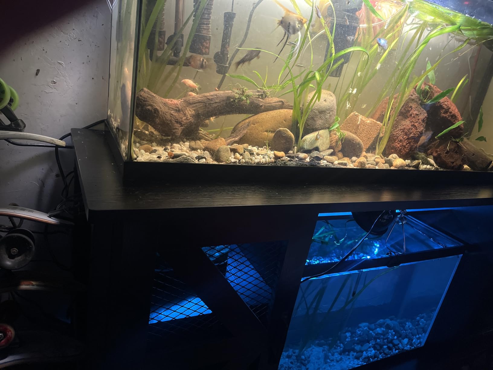 Verano 55-75 Gallon Aquarium Stand with Storage Cabinet, Fish Tank Stand with Power Outlets & LED Light, Heavy Duty Steel Frame, 1100LBS Capacity customer photo 2