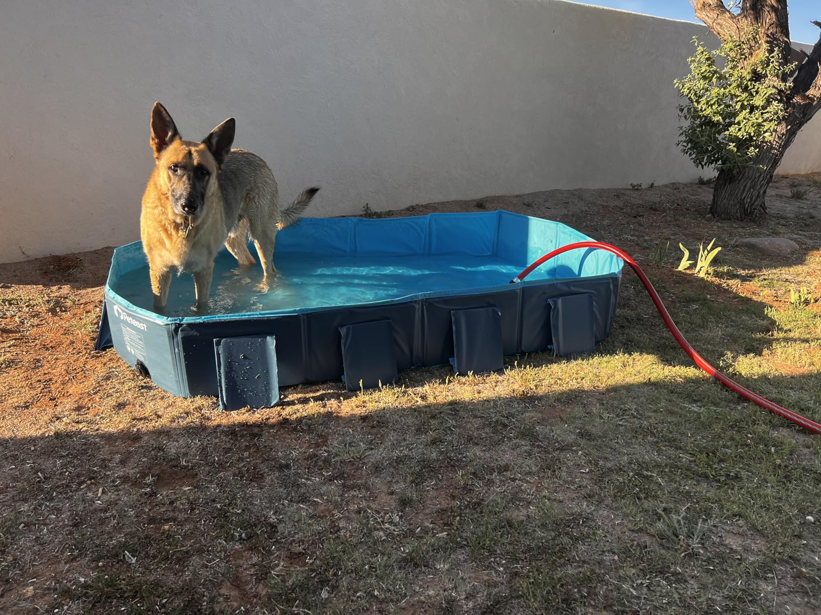 Peteast Foldable Dog Pool - Extra Large 71
