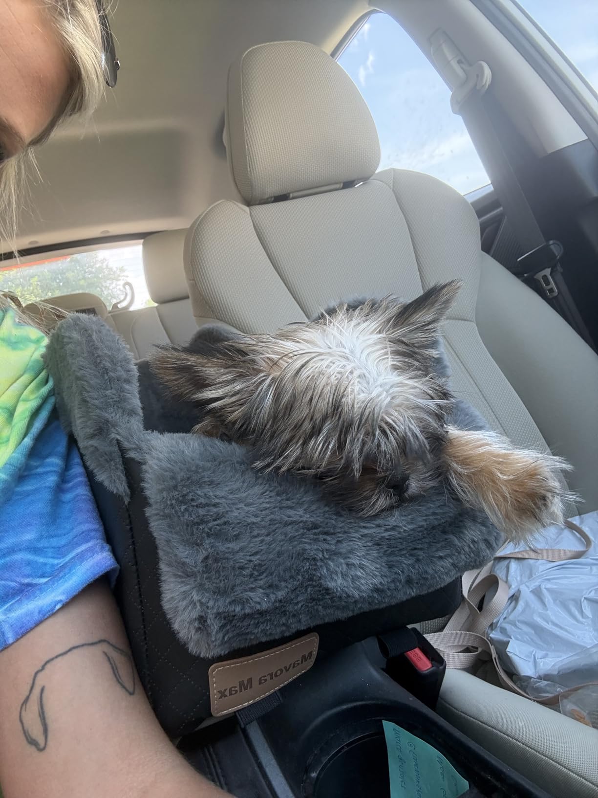 Portable Small Dog Seat for Car, Luxury Center Console Dog Car Seat Booster with Safety Tethers, Anti-Collapse Pet Travel Carseat for SUV, Truck customer photo 1