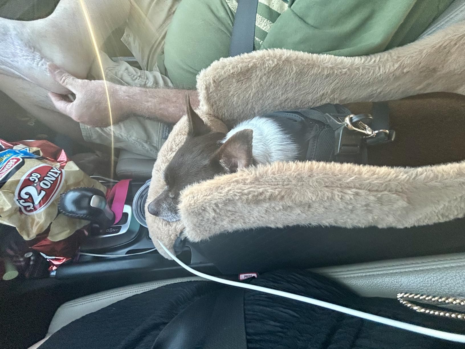Portable Small Dog Seat for Car, Luxury Center Console Dog Car Seat Booster with Safety Tethers, Anti-Collapse Pet Travel Carseat for SUV, Truck customer photo 2