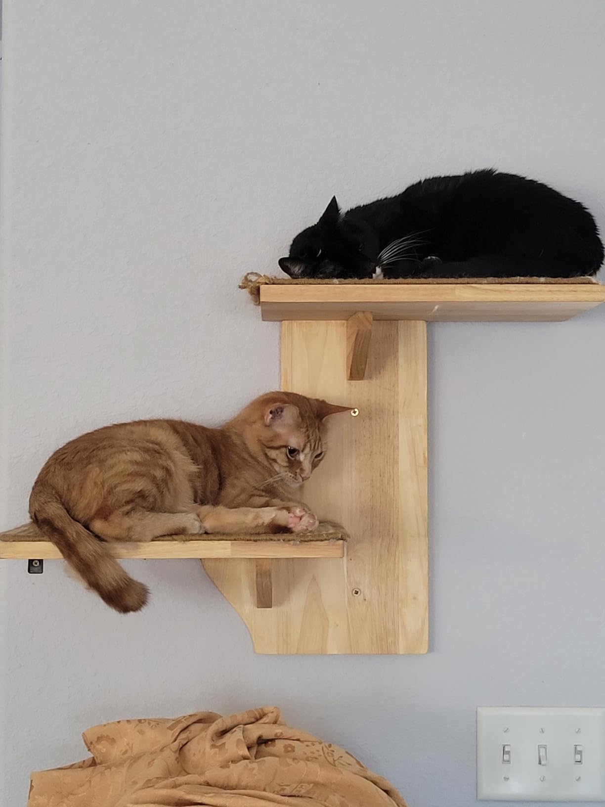FUKUMARU Cat Wall Shelves, 2 Platform Cats Walls Furniture, Tree Shape Kitten Floating Shelf with Soft Cushion Perch, Solid Rubber Wood for 16 Inch Drywall, Suitable for Climb, Play, Nap customer photo 1