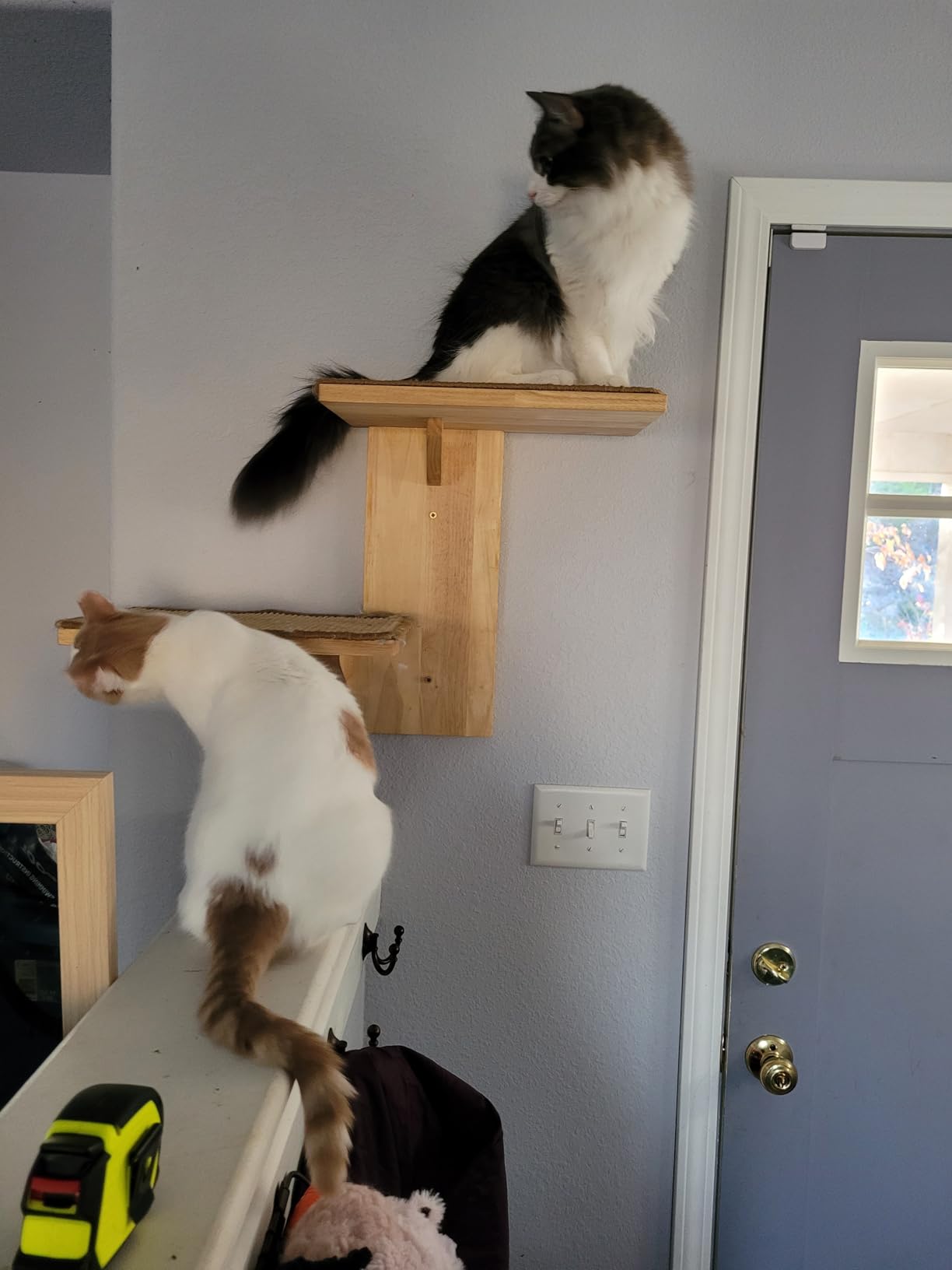 FUKUMARU Cat Wall Shelves, 2 Platform Cats Walls Furniture, Tree Shape Kitten Floating Shelf with Soft Cushion Perch, Solid Rubber Wood for 16 Inch Drywall, Suitable for Climb, Play, Nap customer photo 2