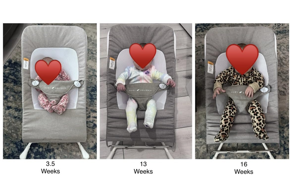 Baby Delight Highland Baby Bouncer | Infant | 0-6 Months | 3-Position Recline customer photo 1