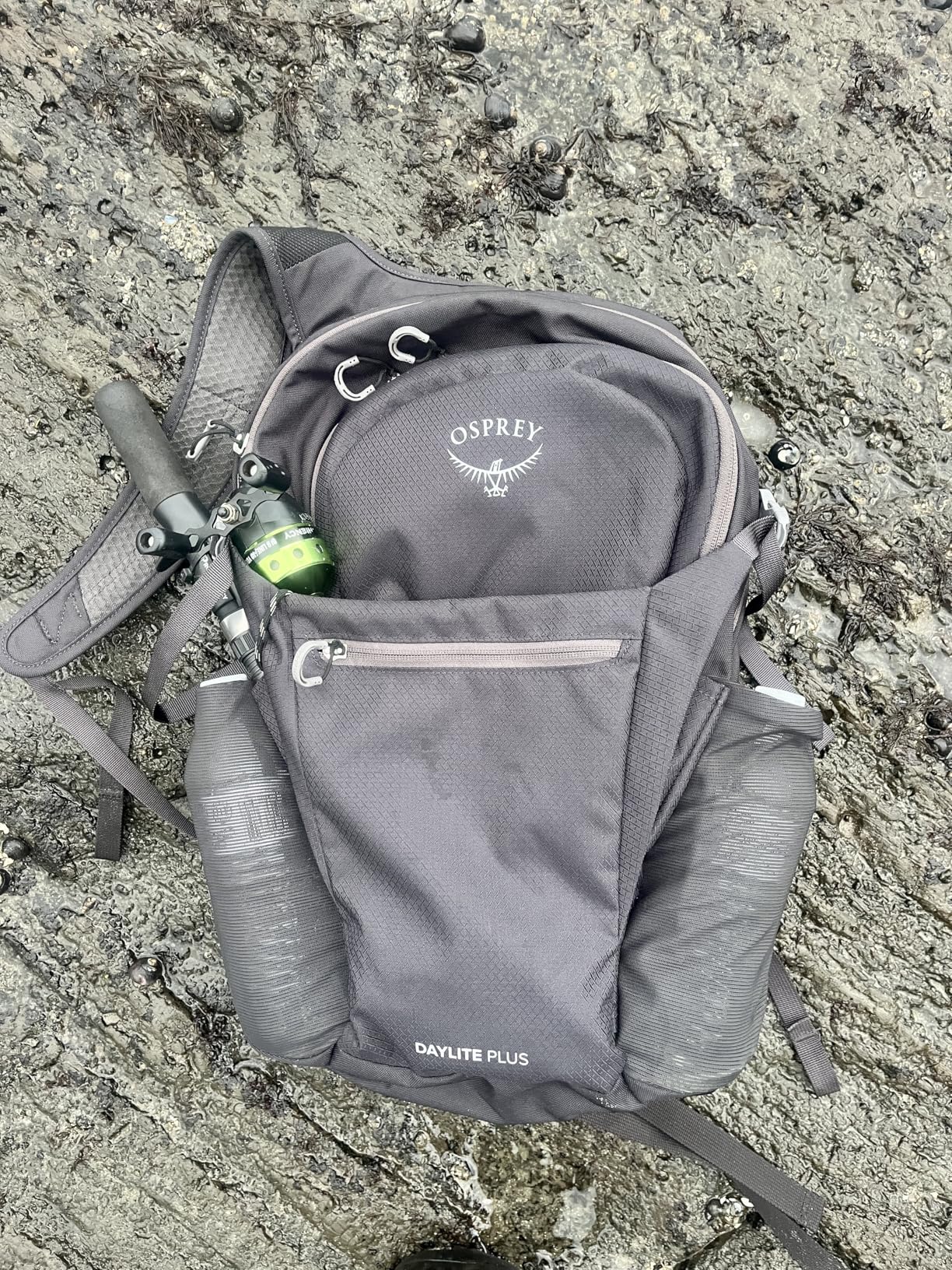 Osprey Daylite Plus Commuter Backpack - Lightweight, Everyday Pack with Laptop Sleeve and Water Bottle Pockets - Ideal for Work, School, and Travel, Seaweed Green Amazon Exclusive customer photo 2