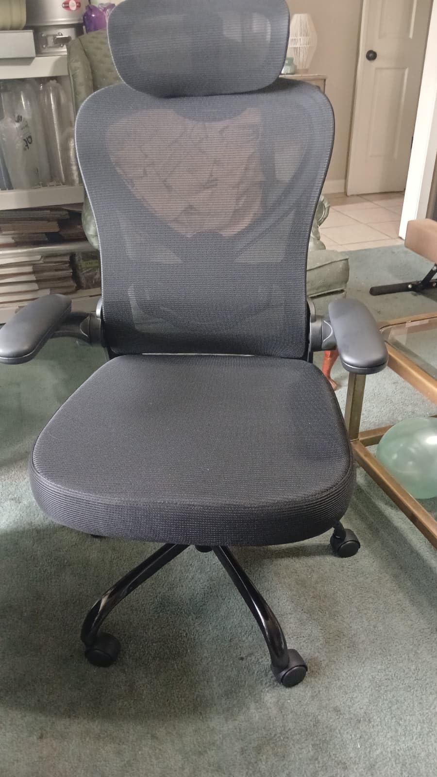 Freepub Ergonomic Office Chair with Headrest 3D, Mesh Office Desk Chair with Adjustable Lumbar Support, Computer Chair with Flip up Armrests, 350LBS Capacity - Design for Home/Offices - Black customer photo 1