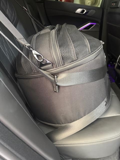 Crash-Tested Portable Small Dog Car Seat & Cat Carrier - CPS Certified for Crash Protection & Safe Pet Travel. customer photo 1