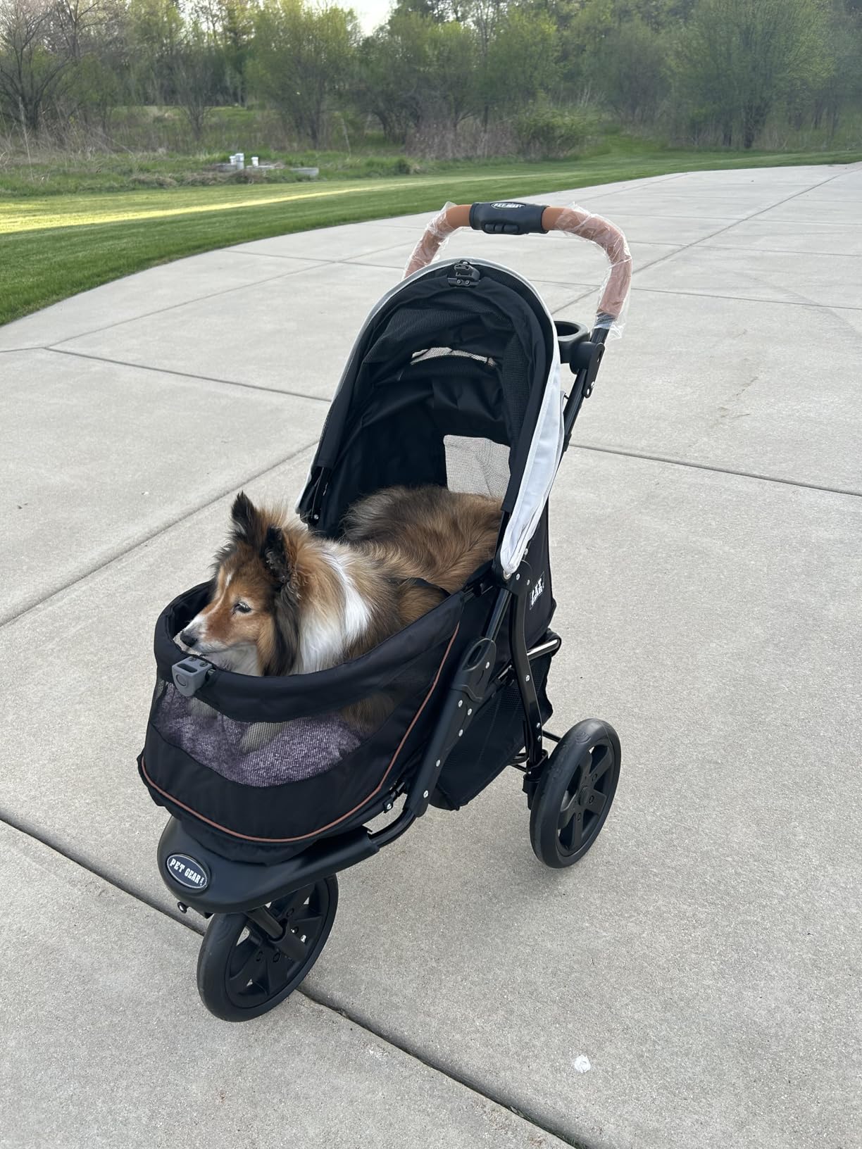 Pet Gear No-Zip AT3 Pet Stroller for Cats/Dogs, Zipperless Entry, Easy One-Hand Fold, Jogging Tires, Removable Liner, Cup Holder + Storage Basket, Platinum customer photo 1