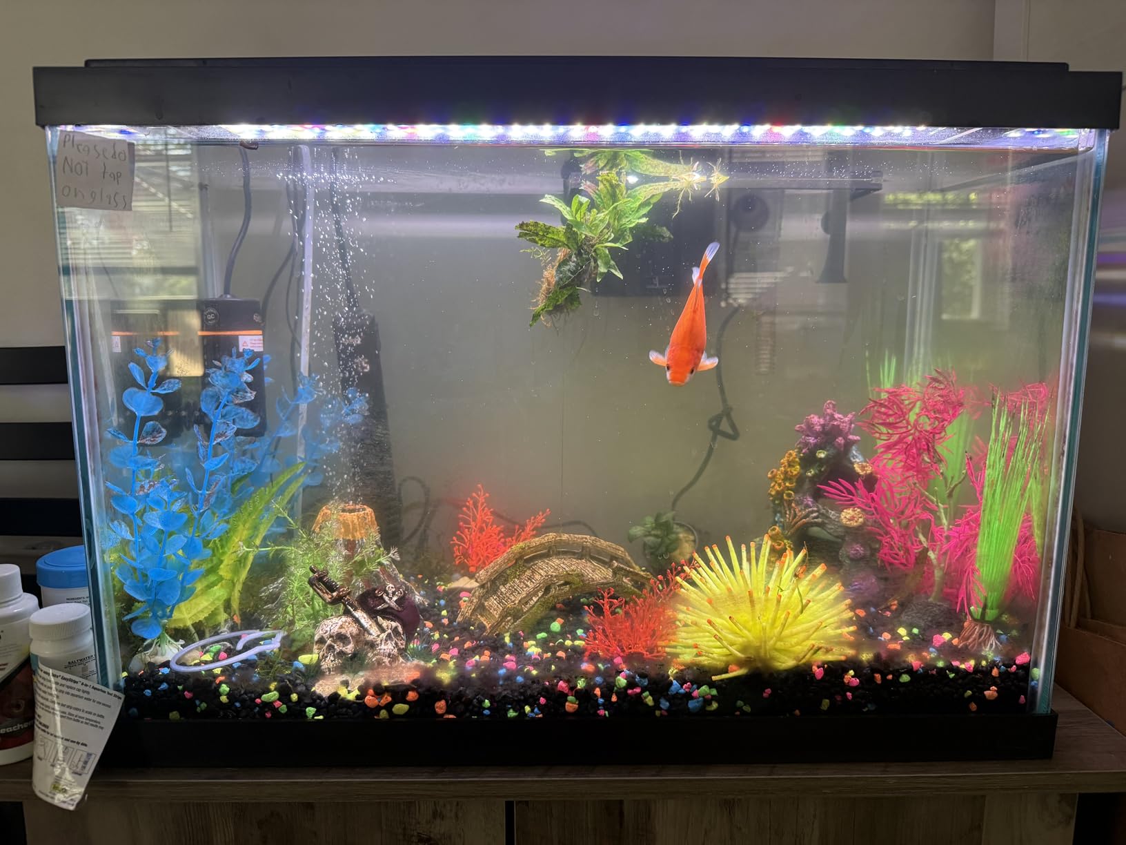 hygger Aquarium UV Light with Timer, 360 Protective Shield Clean Light for Green Water and Algae Clean, 5W for 13-40 Gallon customer photo 1