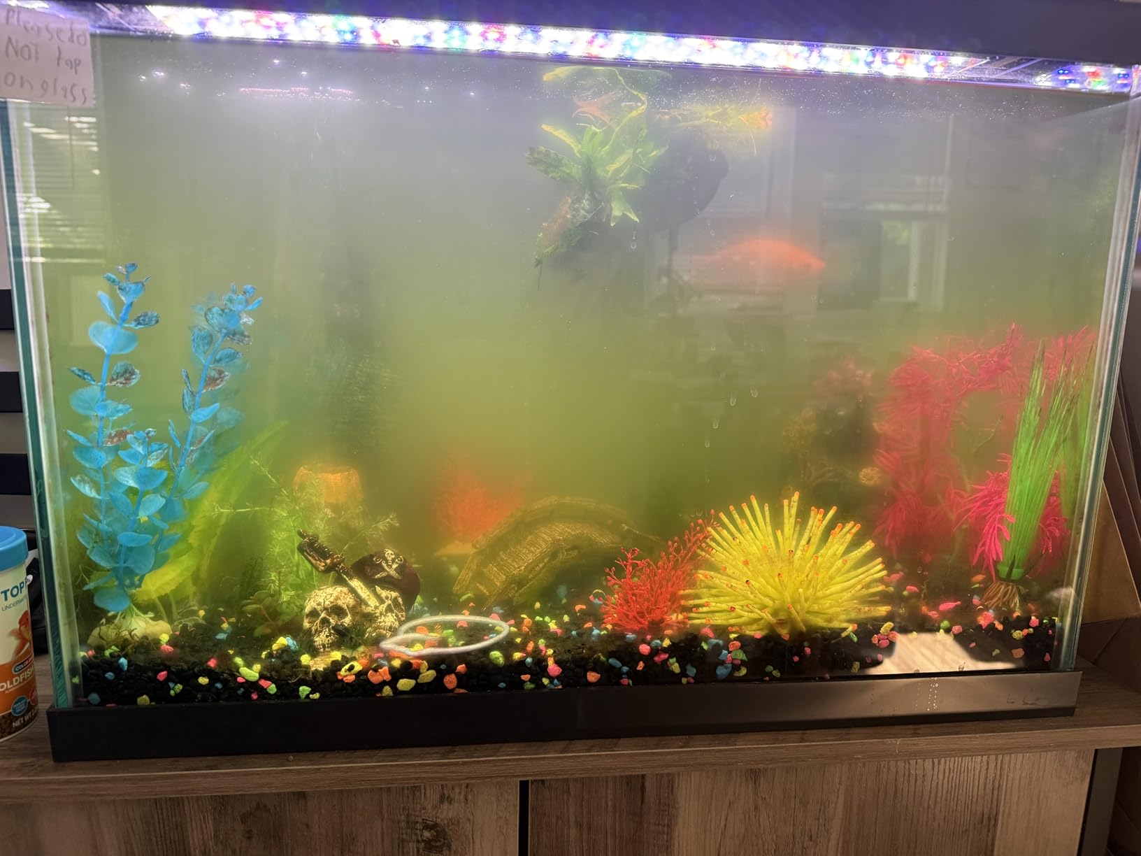 hygger Aquarium UV Light with Timer, 360 Protective Shield Clean Light for Green Water and Algae Clean, 5W for 13-40 Gallon customer photo 2