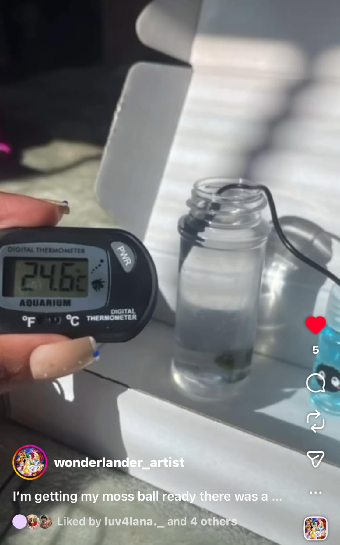 DaToo Aquarium Thermometer with Large LCD Display Fahrenheit/Celsius (F/C) Fish Tank Thermometer for Aquarium Reptile Terrarium Digital Water Thermometer with Suction Cup customer photo 1