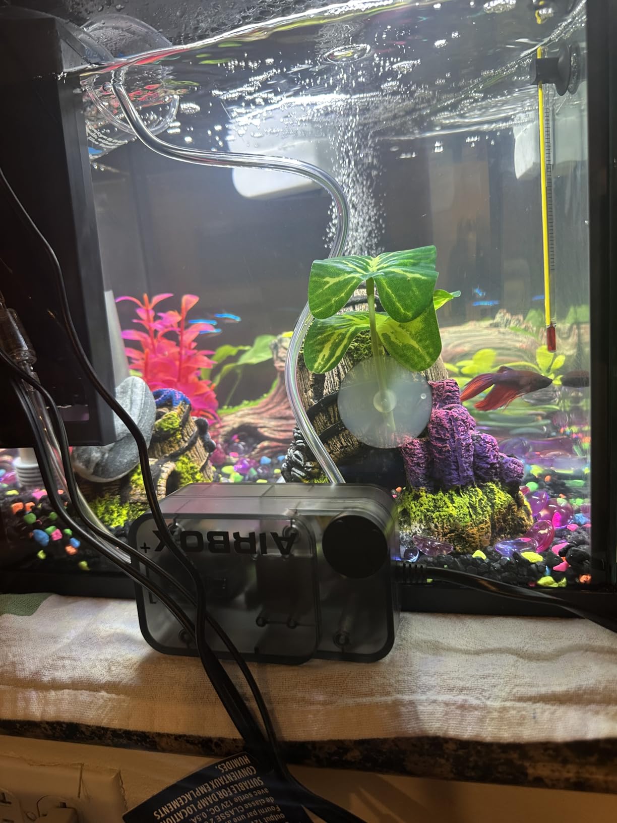 AQUASMITH Aquarium Air Pump,Ultra-Quiet/Small Size/More Output Air Pump for Fish Tank 1.5w/29GPH/14Kpa,with Air Stone Bubbler,Adjustable Airflow,Single Outlet Suitable for 20-40 Gallon Fish Tank customer photo 2