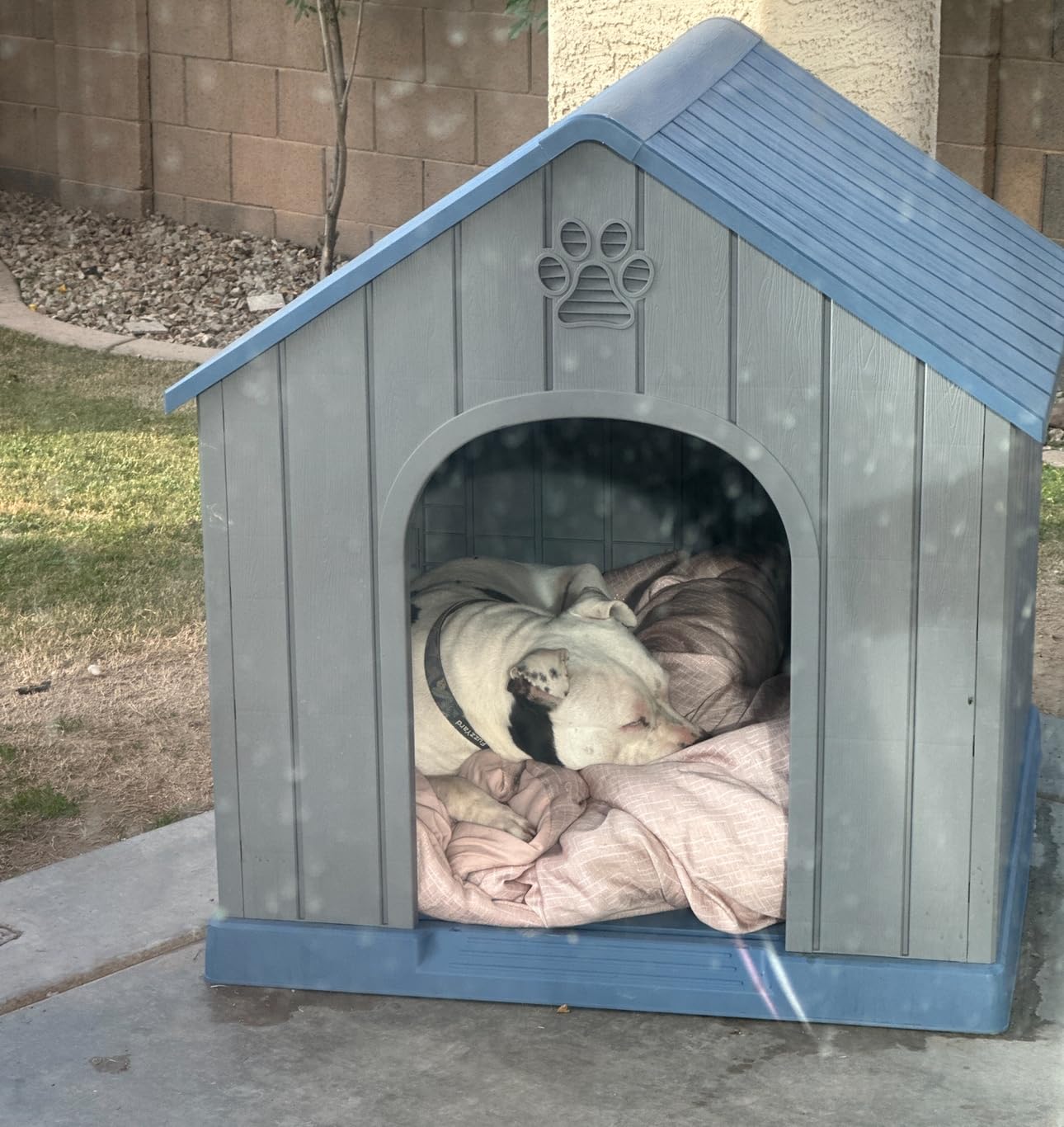 DRATO Large Dog House Indoor Outdoor Waterproof, Puppy Shelter with Air Vents and Elevated Floor, Sturdy Dog Kennel for Small to Large Sized Dogs, Easy to Assemble (Blue, 38.62×36.26×38.07 Inches) customer photo 2