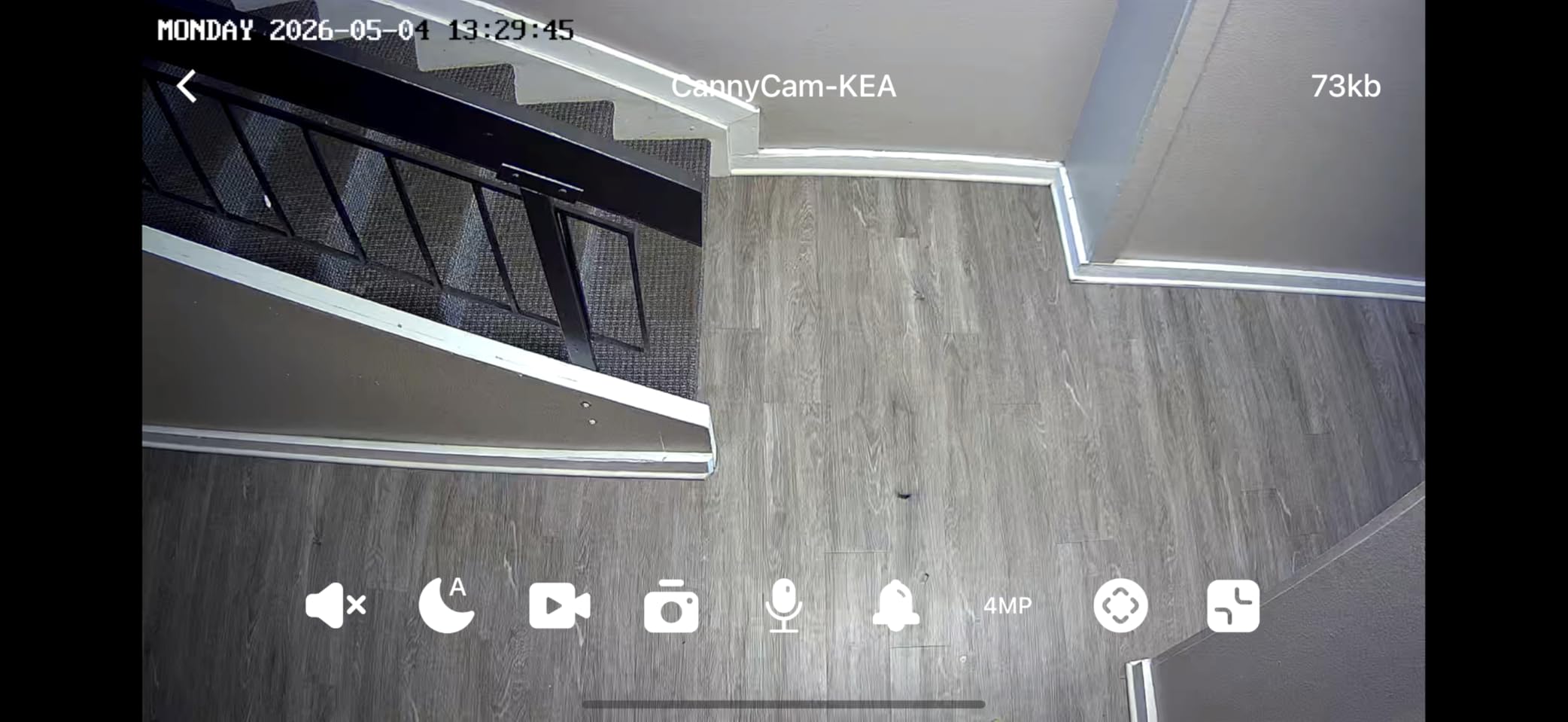 VIMTAG 2.5K Cameras for Home Security Outdoor/Indoor, Color Night Vision Security Camera for Baby/Pet/Dog/Nanny, Light/Siren, Motion Detection, 2-Way Audio, Work with Alexa, Cloud/Card Storage, 2Pcs customer photo 1
