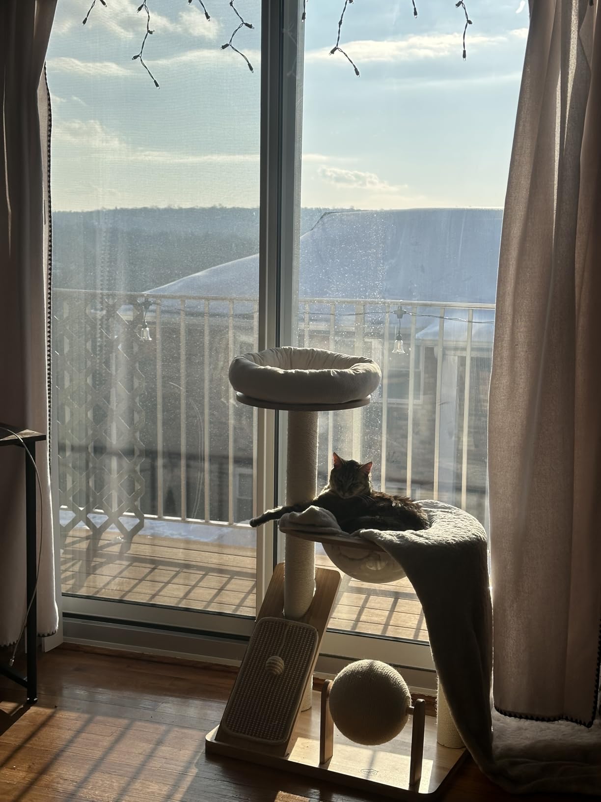 HITTITE Solid Wood Cat Tree Tower with Scratching Post, 37.8 Inches Tall Cat Towers with Scratching Board and Scratcher Ball, Modern Cat Tower With Space Capsule and Removable Top Bed for Indoor Cats customer photo 2
