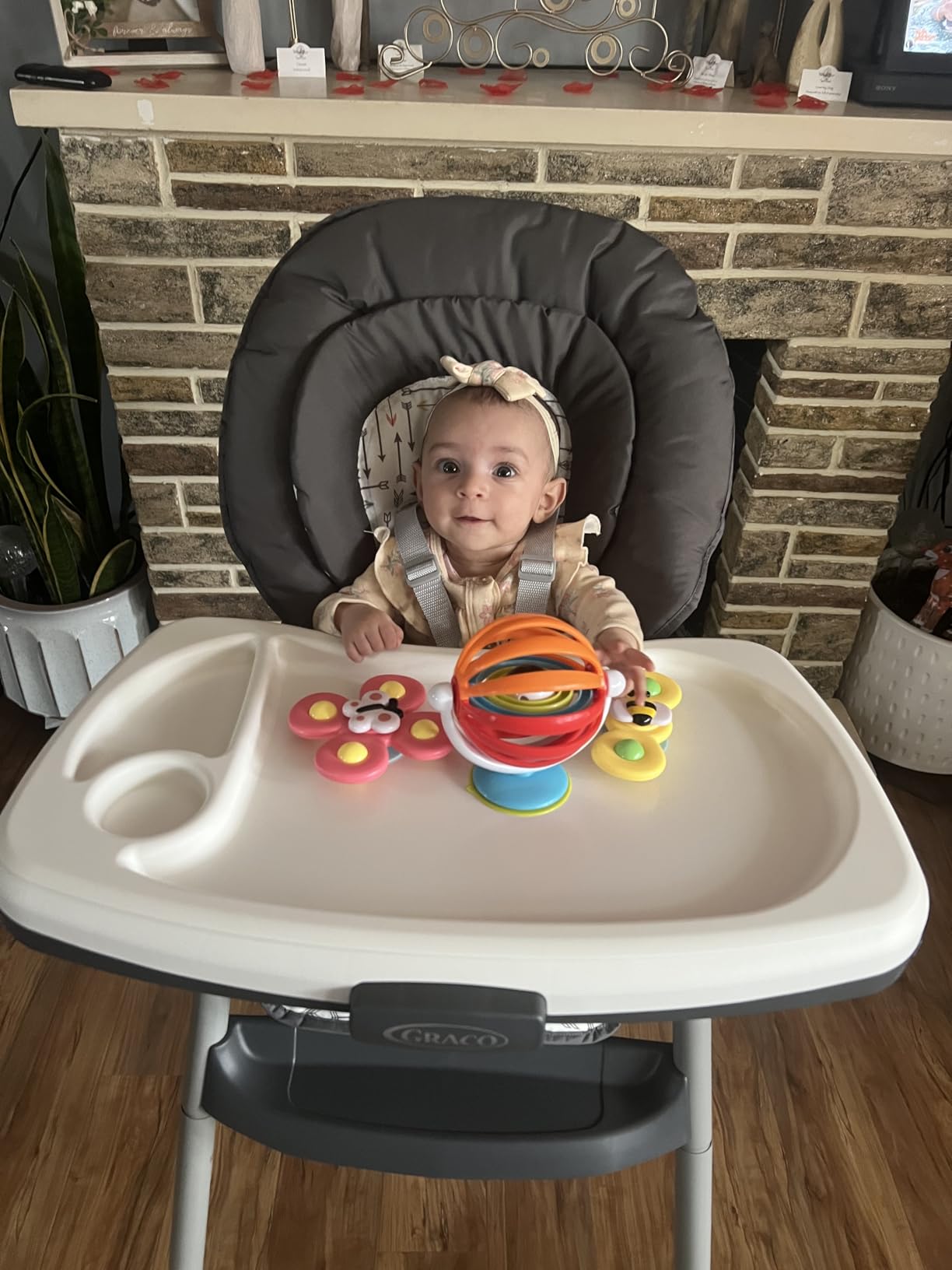 Graco Table2Table Lux Highchair, 6 Growing Stages from Infant High Chair to Big Kid Chair and Table, Rhodes customer photo 1