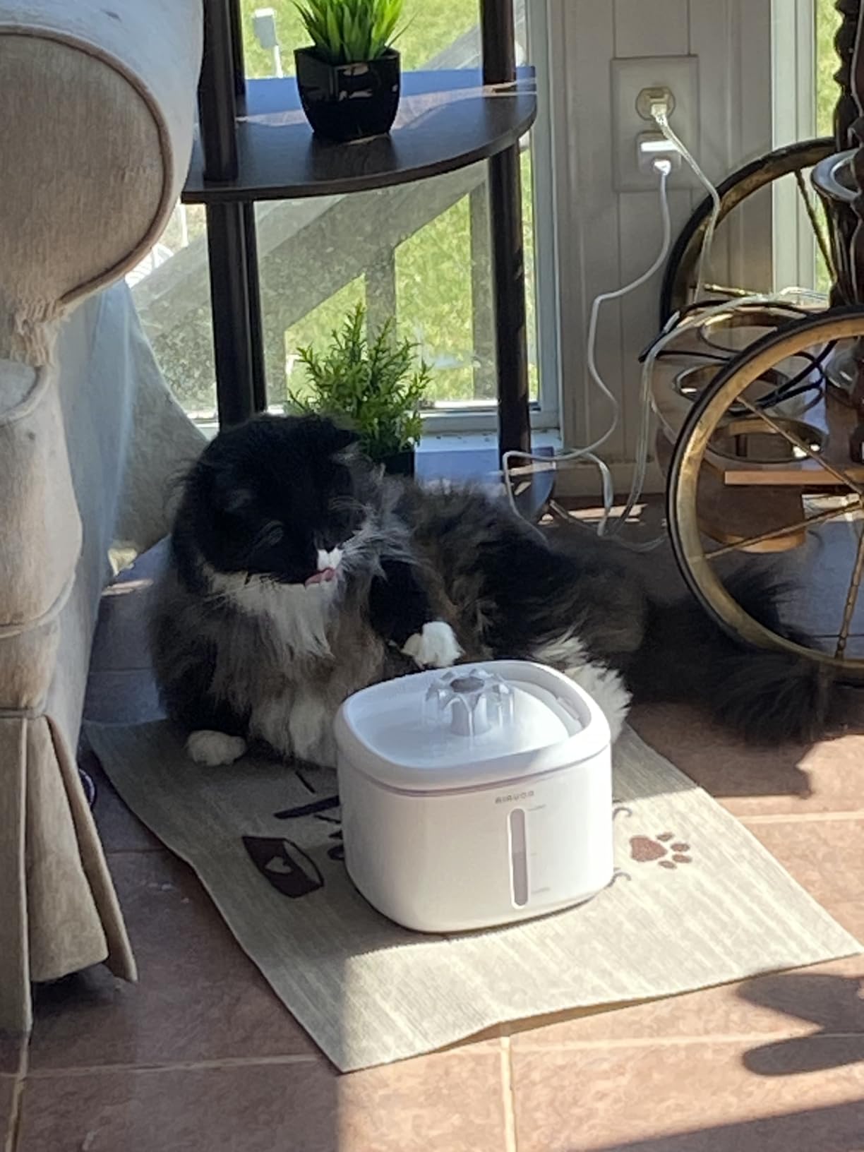 Cat Water Fountain, 84oz/2.5L Pet Cat Fountain - Ultra Quiet Upgraded Automatic Pet Water Dispenser with 3 Replaceable Filters, Indoor Cat & Dog Drinking Bowl customer photo 1
