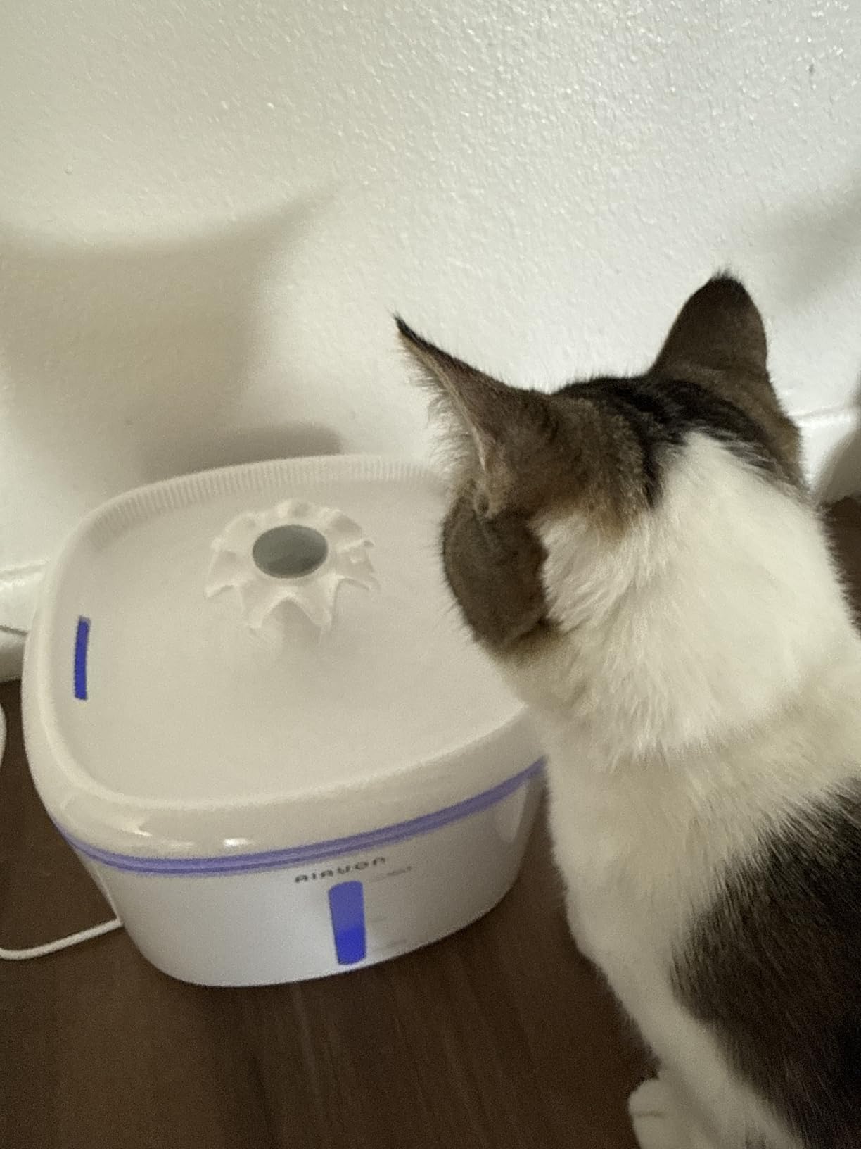 Cat Water Fountain, 84oz/2.5L Pet Cat Fountain - Ultra Quiet Upgraded Automatic Pet Water Dispenser with 3 Replaceable Filters, Indoor Cat & Dog Drinking Bowl customer photo 2