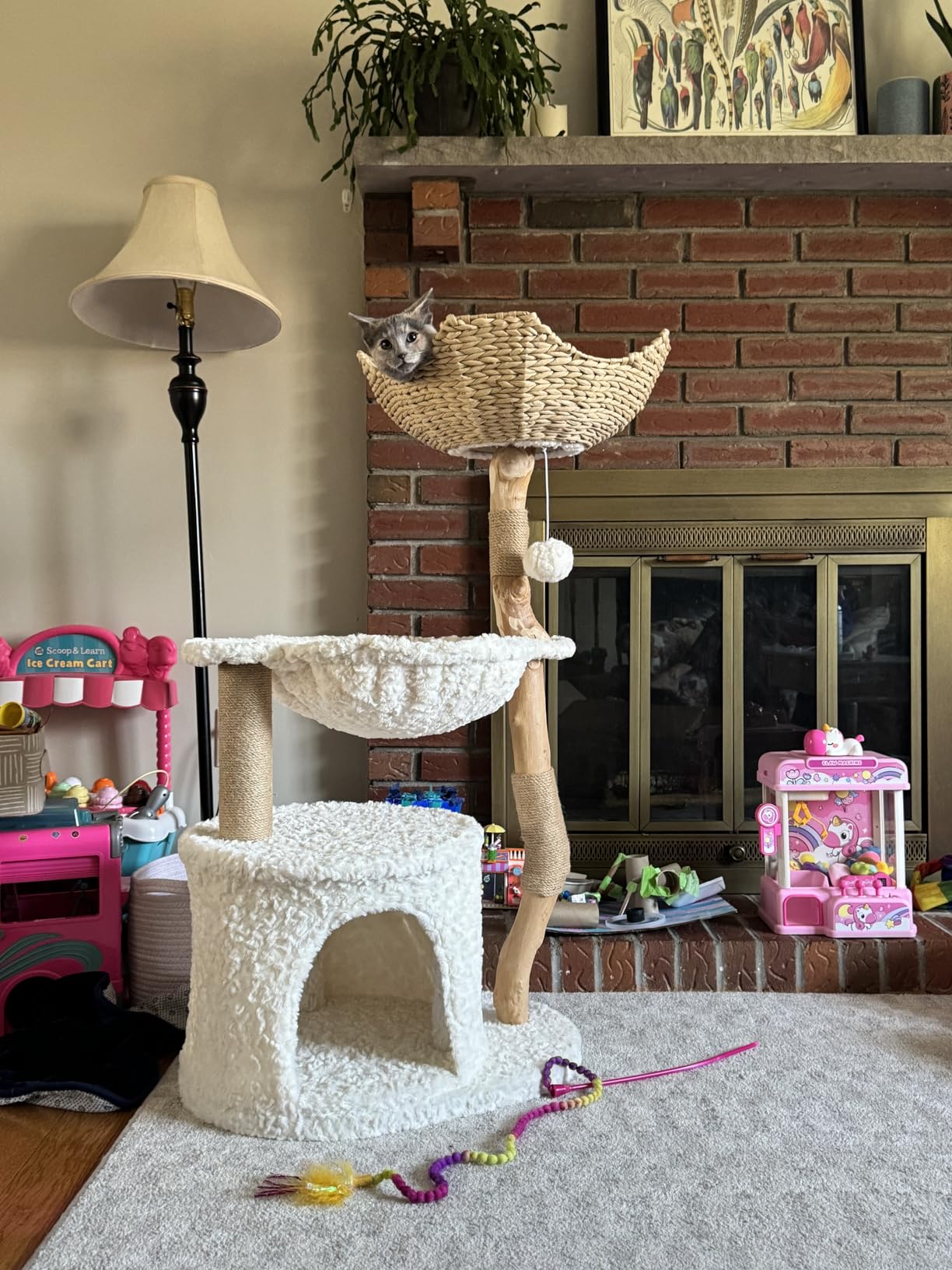 PAWZ Road Cat Tree for Indoor Cats Large Adults, 59 Inches Modern Cat Tower with Large Basket and Hammock, Natural Solid Wood, Luxury Condo & Dual Perches, Modern Cat Furniture for Big Cats, White customer photo 1