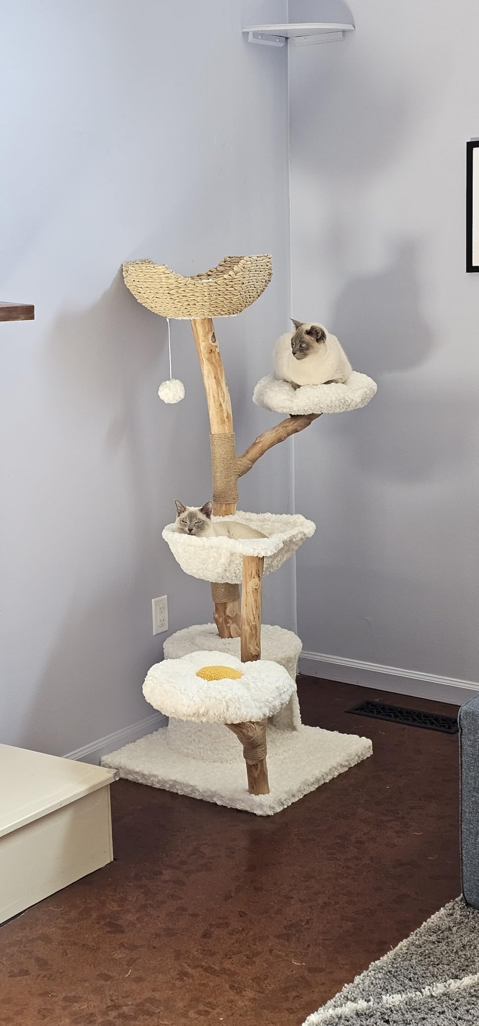 PAWZ Road Cat Tree for Indoor Cats Large Adults, 59 Inches Modern Cat Tower with Large Basket and Hammock, Natural Solid Wood, Luxury Condo & Dual Perches, Modern Cat Furniture for Big Cats, White customer photo 2
