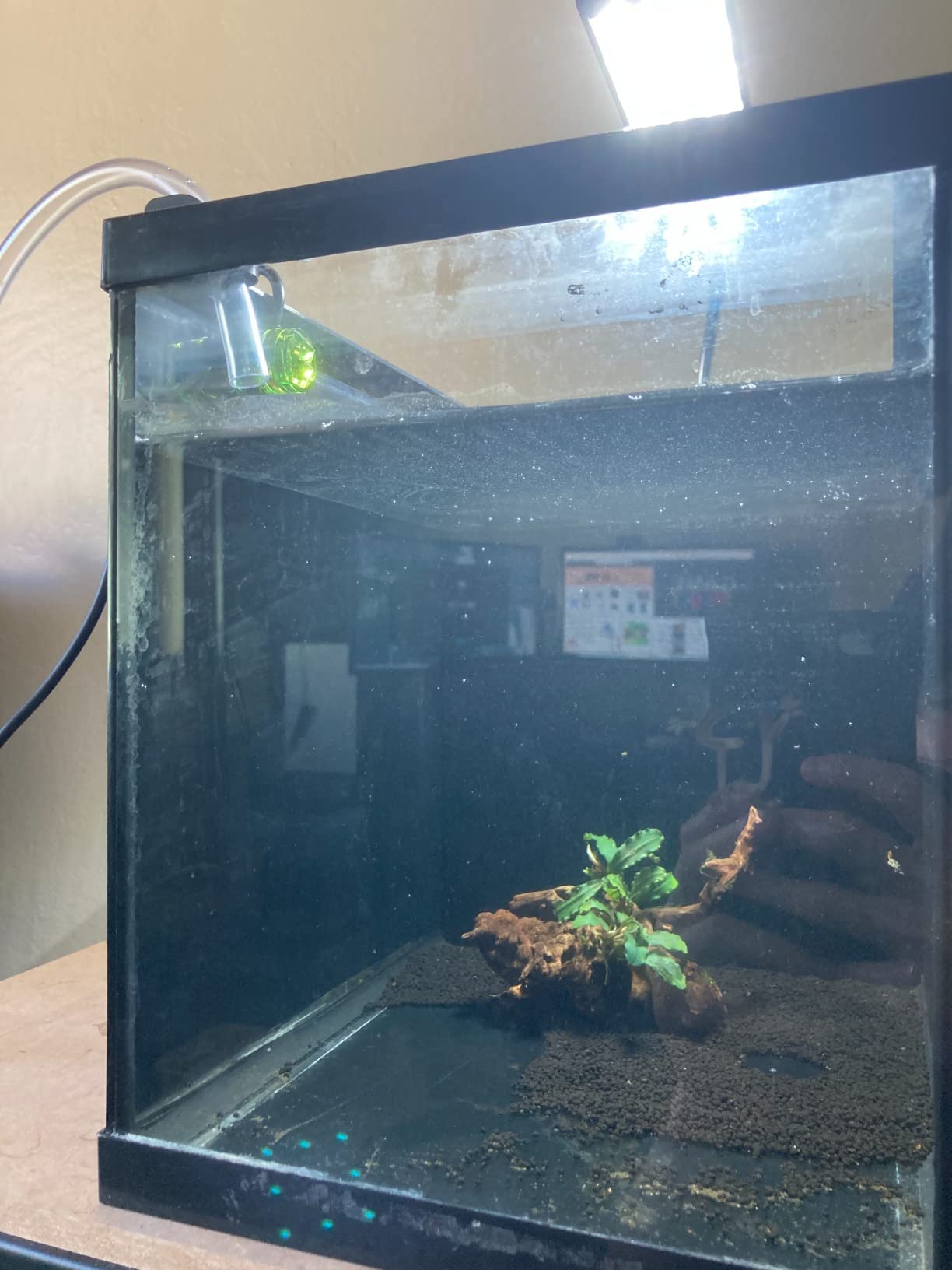 MagTool Auto Top Off System for Saltwater Aquarium, ATO Aquarium Auto Top Off with Dual Optical Sensor for Reef & Fresh Tanks -Blue customer photo 2