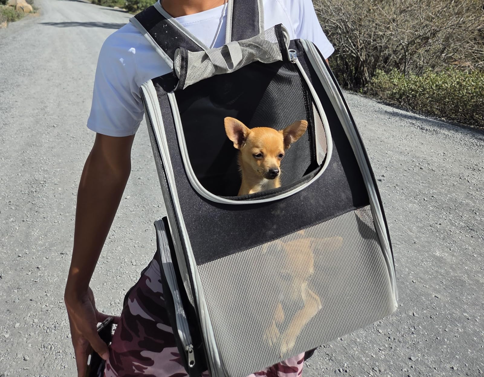 Conlun Cat Backpack Carrier for Small Dogs and Cats Fit Up to 15 Lbs, Small Dog Backpack, Foldable with 3-Side Mesh Windows, Pet Carrier for Travel & Hiking Friendly, Gray customer photo 1