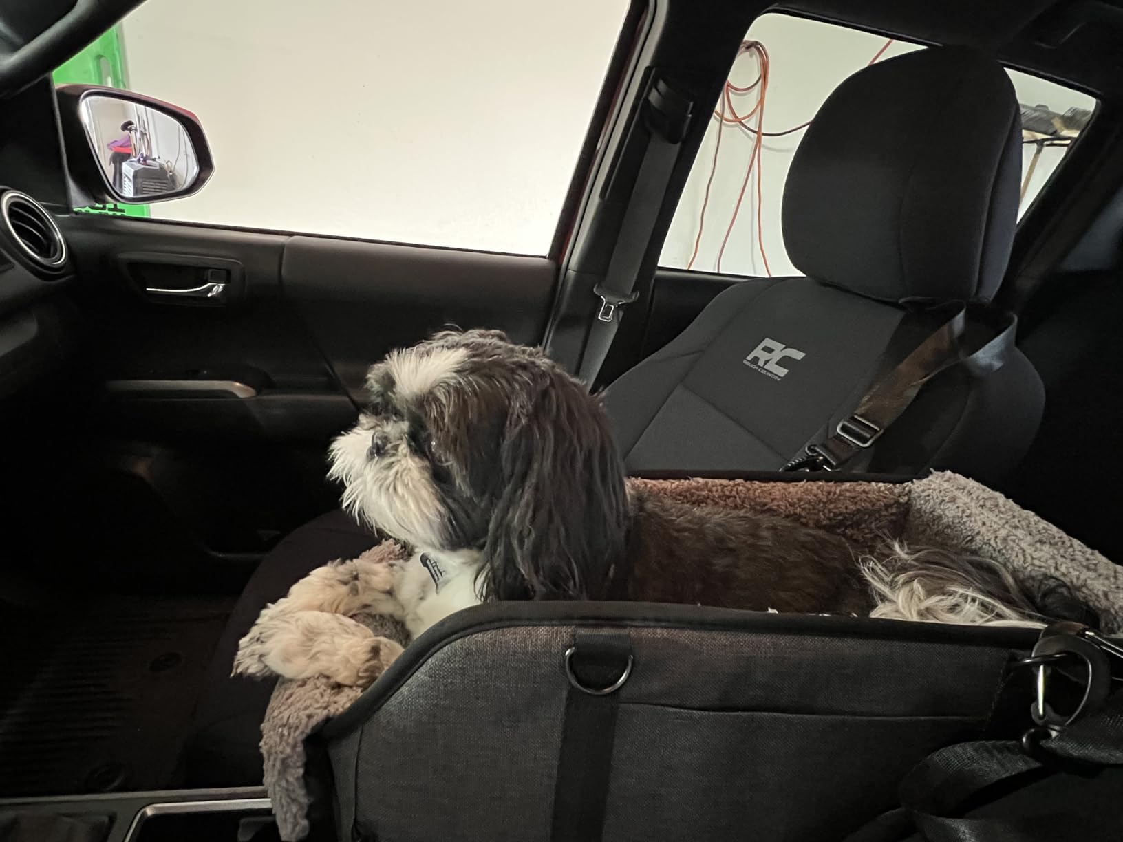 BurgeonNest Center Console Small Dog Car Seat - Portable Pet Cat Puppy Booster Armrest Carseat Up to 11lbs, Anti-Collapse Comfort Car Travel with Washable Fluffy Cushion customer photo 1