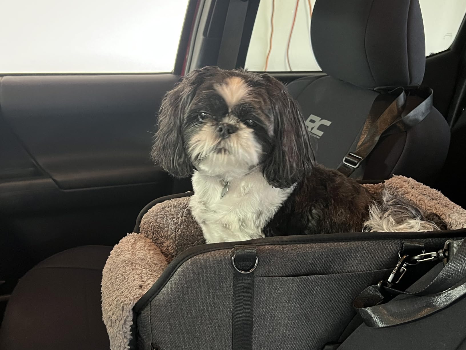 BurgeonNest Center Console Small Dog Car Seat - Portable Pet Cat Puppy Booster Armrest Carseat Up to 11lbs, Anti-Collapse Comfort Car Travel with Washable Fluffy Cushion customer photo 2
