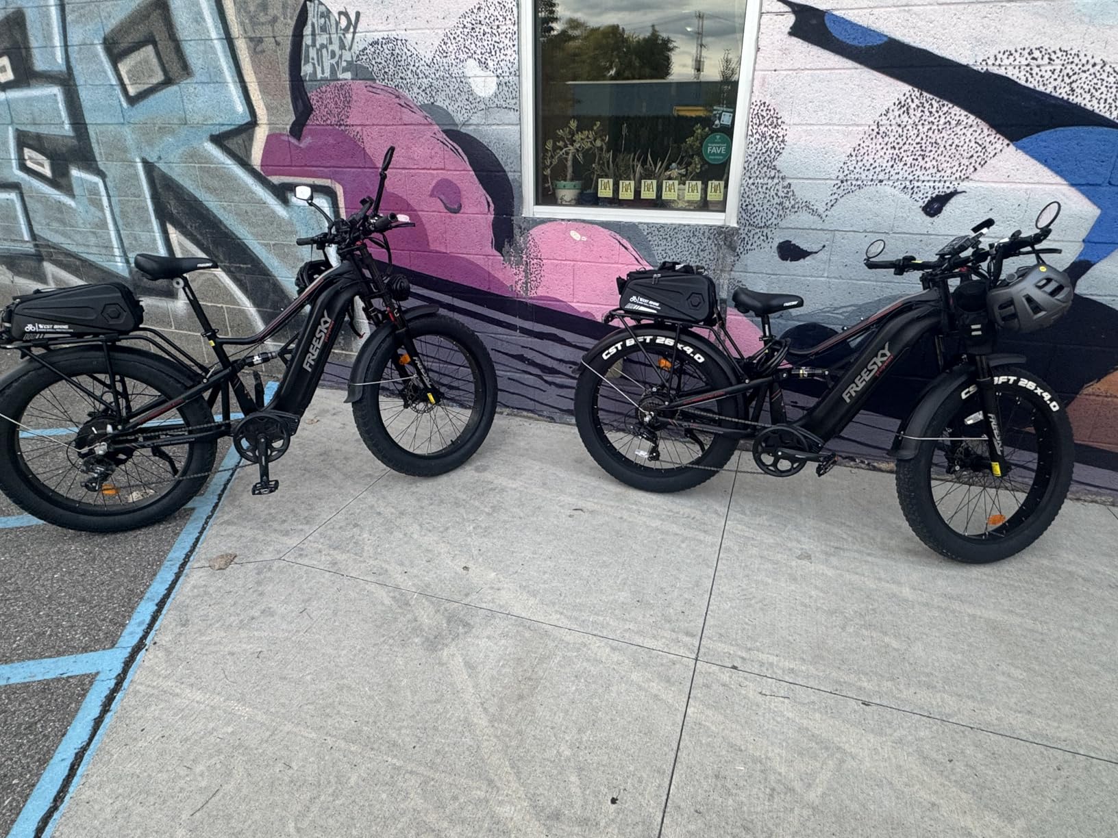 FREESKY 3500W BAFANG Motor Electric Bike for Adults, 48V 35Ah Samsung Cells Battery Ebike 140 Miles, 38+MPH, 26