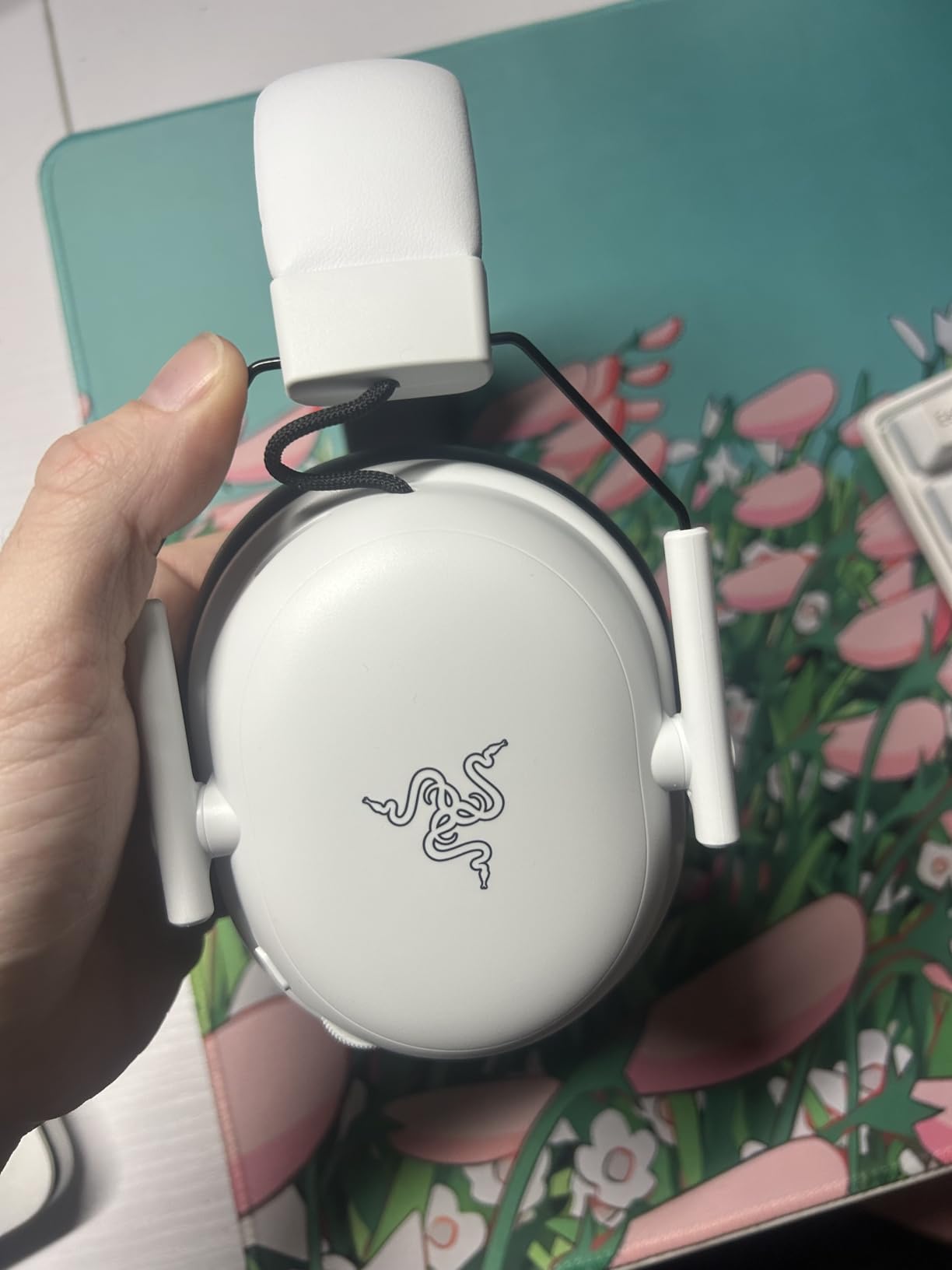 Razer BlackShark V3 Wireless Gaming Headset for Xbox: 50mm Drivers - Super Wideband Mic - 2.4 GHz, Bluetooth, USB - Works with PC, Mac, PS5, Nintendo Switch, Smartphone customer photo 1