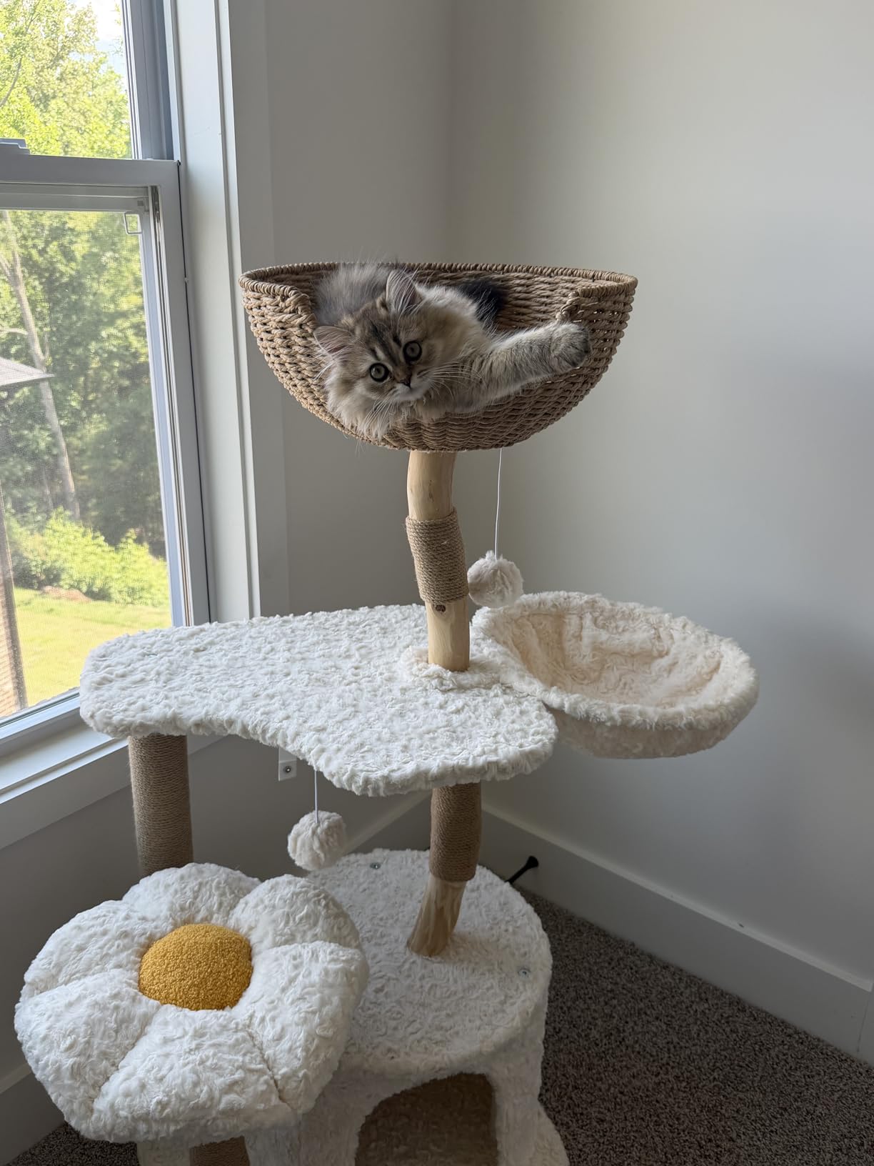 PETEPELA Modern Cat Tree Tower for Indoor Large Cats w/Removable Flower Perch, Real Solid Wood Cat Scratching Posts, Boho Ratten Cat Furniture w/Cozy Condo & Wicker Basket Bed, White customer photo 2