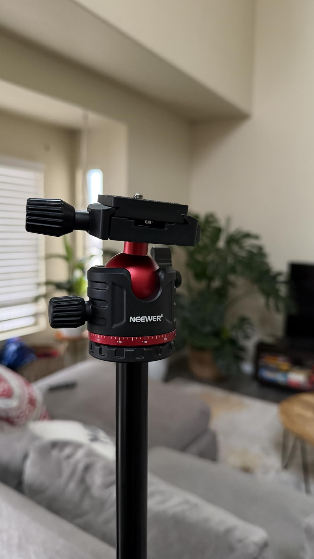 NEEWER Basics 66.5