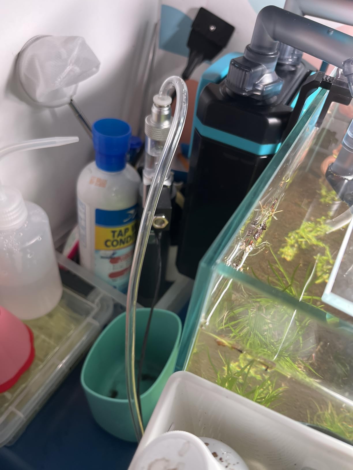 Complete Aquarium CO2 System, Desktop CO2 Regulator with 45g Disposable CO2 Cartridge, Compatible with 5/8