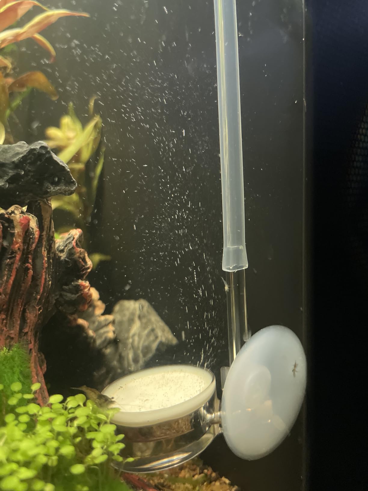 Complete Aquarium CO2 System, Desktop CO2 Regulator with 45g Disposable CO2 Cartridge, Compatible with 5/8