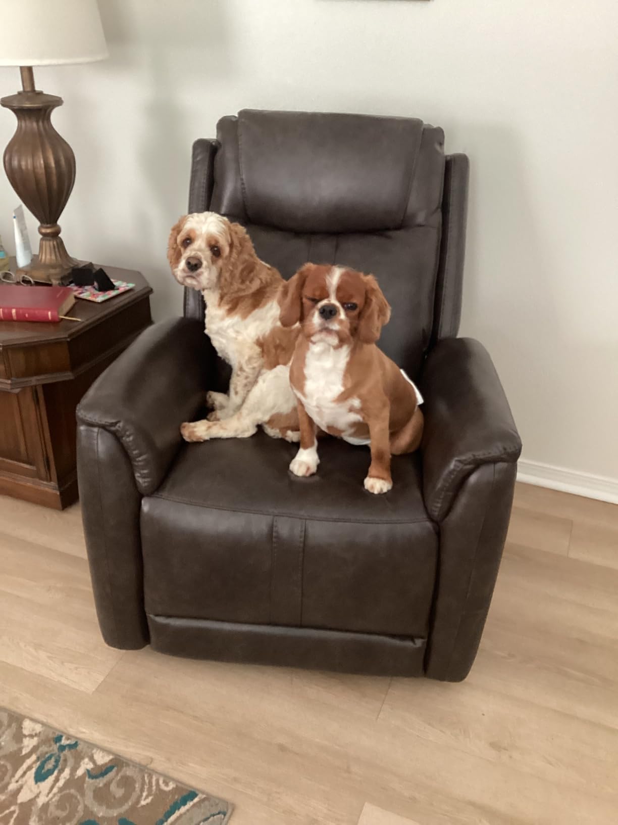 CHITA Power Recliner Chairs for Adults, Electric Leather Super Zero Gravity Recliner with USB & Type-C Charging Ports for Living Room, Bedroom & Home Theater Relaxation, Faux Leather in Camel customer photo 1