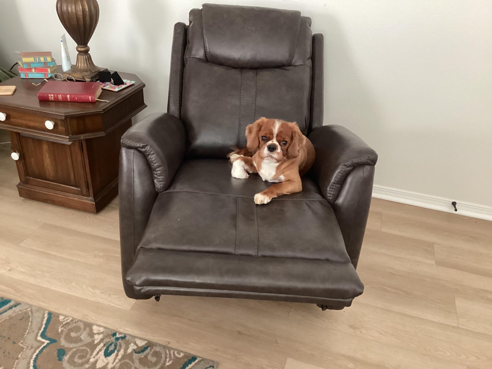 CHITA Power Recliner Chairs for Adults, Electric Leather Super Zero Gravity Recliner with USB & Type-C Charging Ports for Living Room, Bedroom & Home Theater Relaxation, Faux Leather in Camel customer photo 2