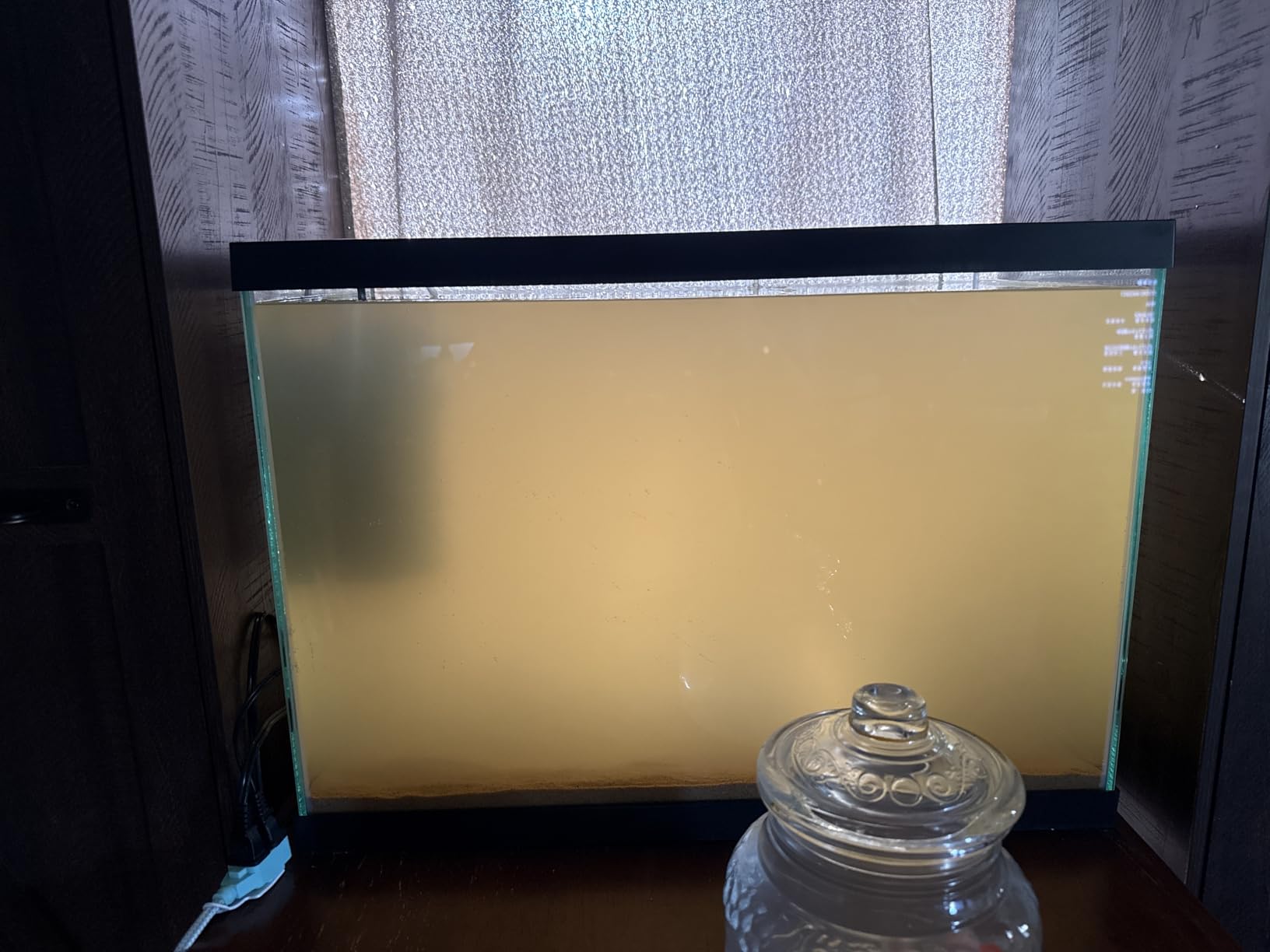 SubstrateSource 20 Gallon Glass Aquarium - 24 x 12.5 x 17.25 in - Large Clear Rectangular Rimmed Freshwater/Saltwater Fish Tank for Betta, Goldfish, Guppy, Shrimp for Home or Office Aquascaping customer photo 1