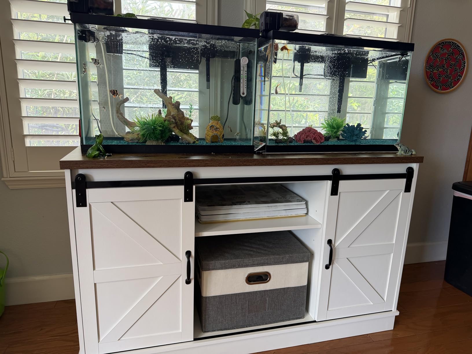 SubstrateSource 20 Gallon Glass Aquarium - 24 x 12.5 x 17.25 in - Large Clear Rectangular Rimmed Freshwater/Saltwater Fish Tank for Betta, Goldfish, Guppy, Shrimp for Home or Office Aquascaping customer photo 2