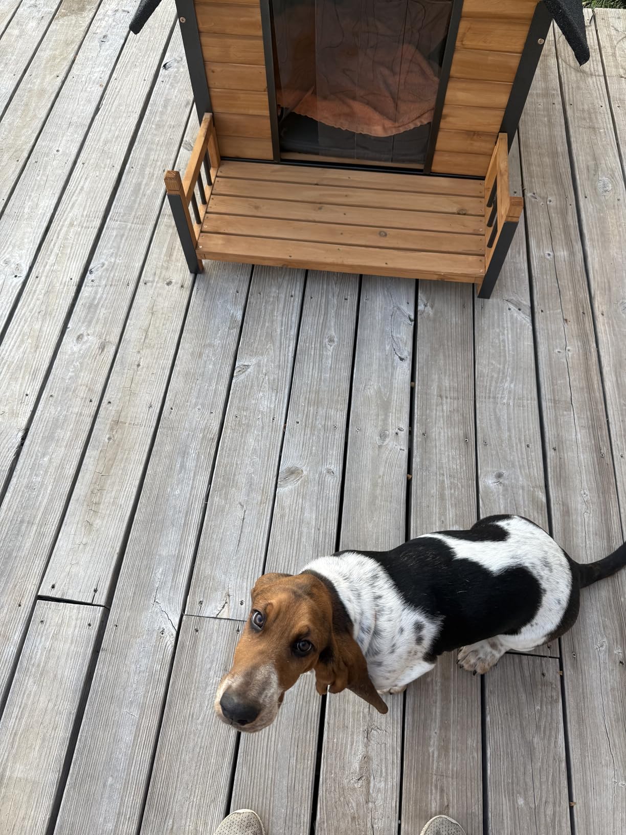 GUTINNEEN Outdoor Heated Dog House Insulated Dog Kennel with All-Around Metal Frame, Weatherproof Anti-Bite Dog Shelter with Porch, Wooden Puppy Home Indoor customer photo 1