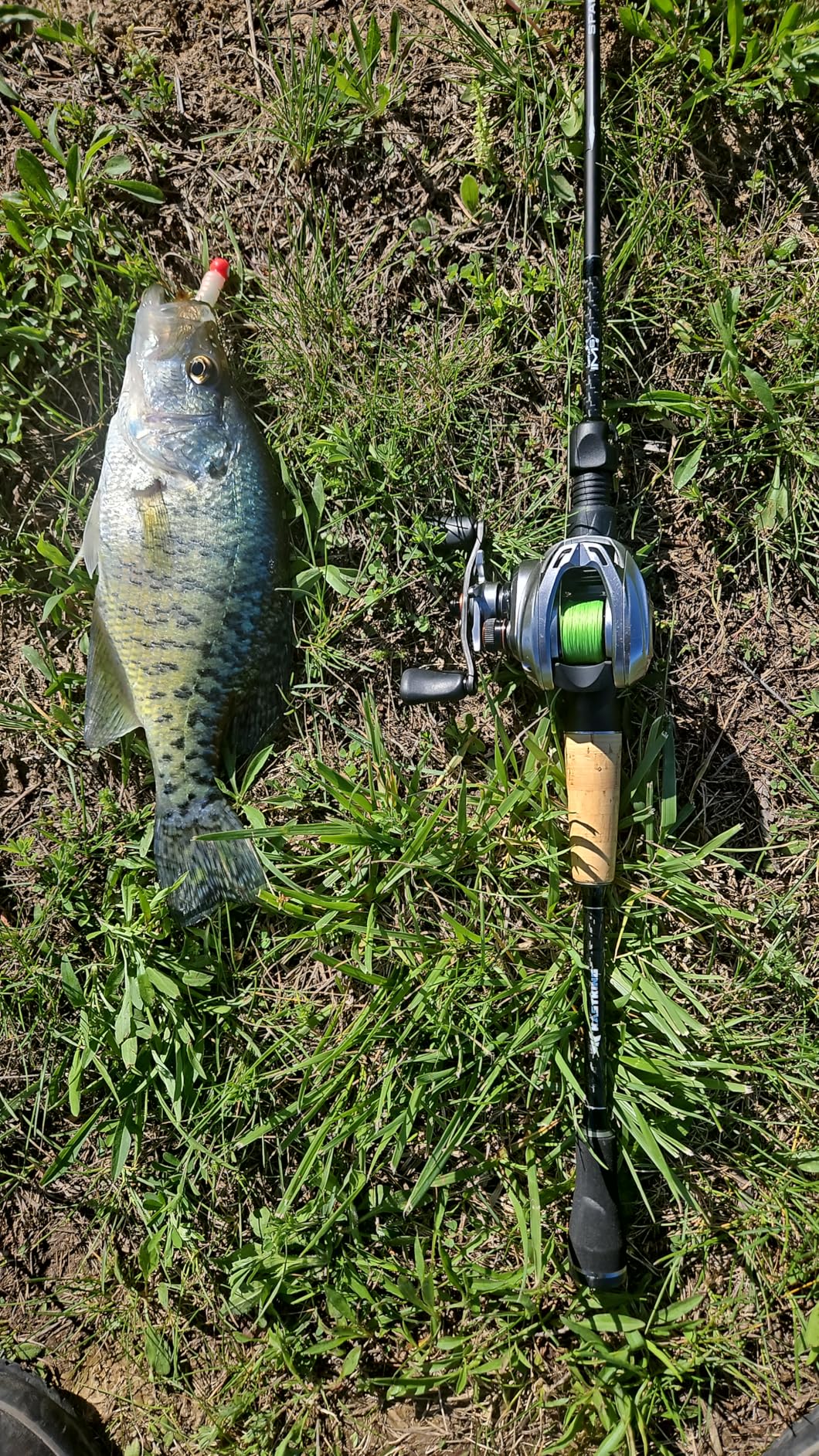 KastKing Spartacus II Plus Twin-Tip Spinning & Casting Rods customer photo 1