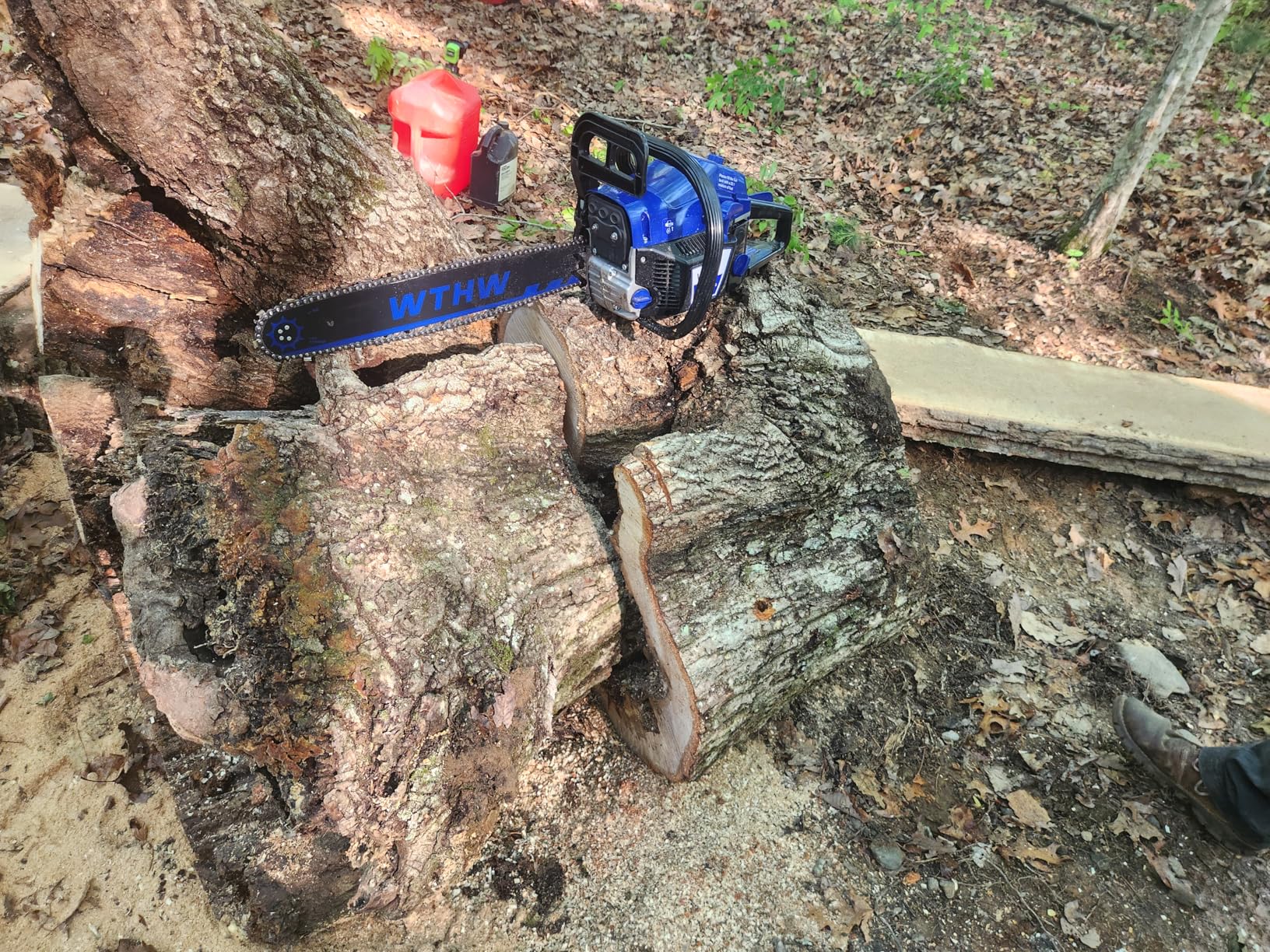 58 cc Gas Powered Chainsaw, 20 in & 18 in Quick-Switch Bars - 550 ml Fuel 260 ml Oil Tanks, Automatic Chain Oiler, Centrifugal Air Filter, Quick Start, Inertial Chain Brake (Blue) customer photo 1