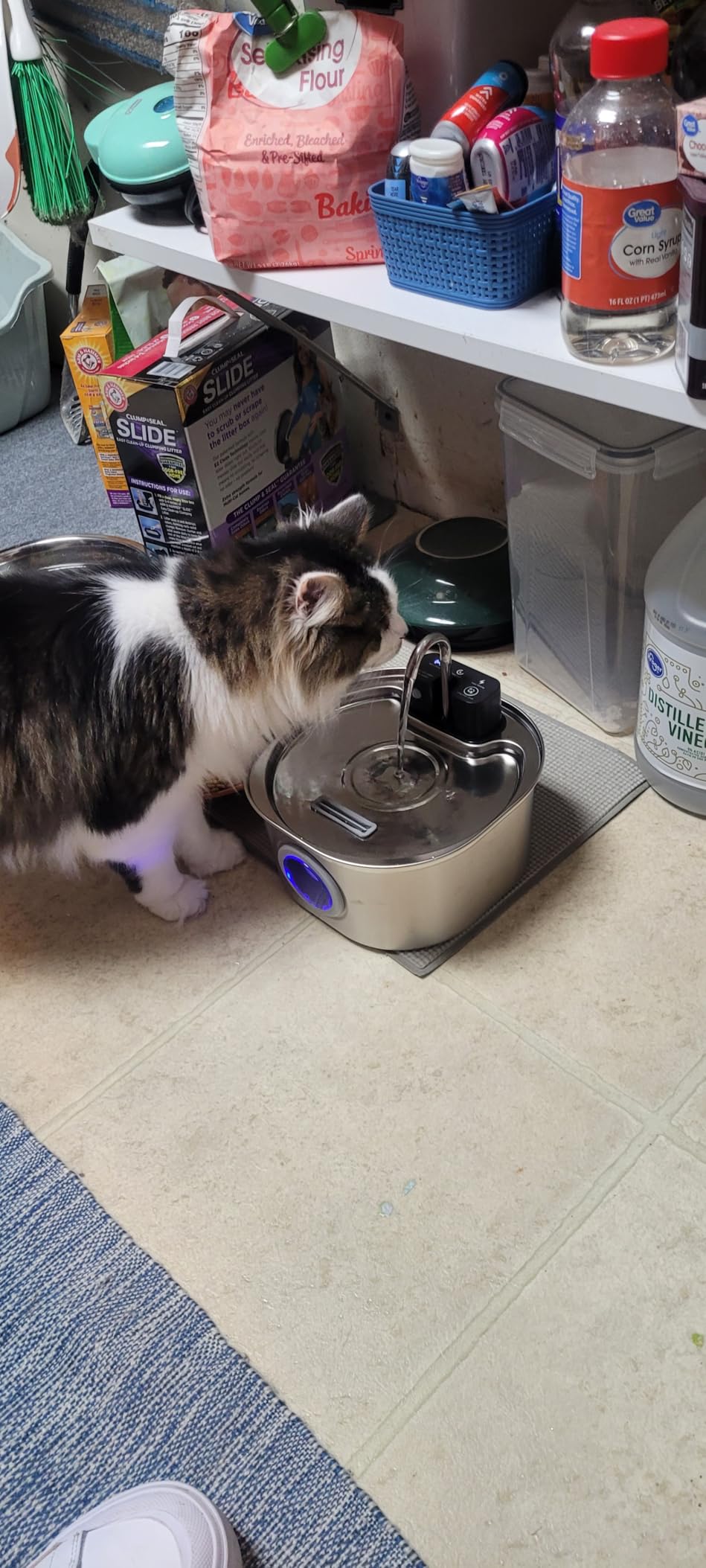 Voluas Stainless Steel Cat Water Fountain: 108oz/3.2L Wireless Cat Fountain Battery Operated for Drinking Indoor, Automatic Pet Water Dispenser Bowl with Ultra Quiet Pump, Easy Clean BPA-Free customer photo 1