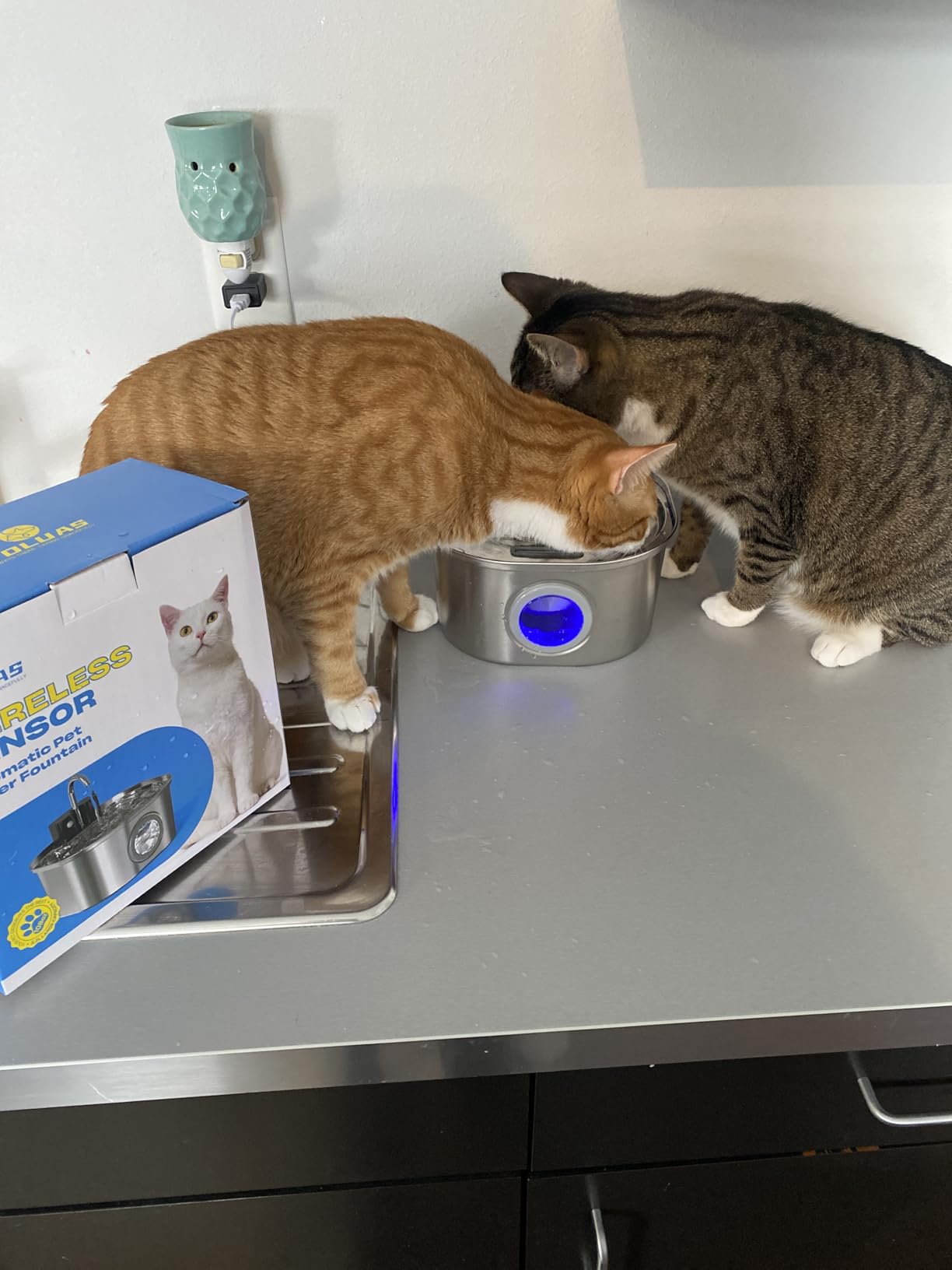 Voluas Stainless Steel Cat Water Fountain: 108oz/3.2L Wireless Cat Fountain Battery Operated for Drinking Indoor, Automatic Pet Water Dispenser Bowl with Ultra Quiet Pump, Easy Clean BPA-Free customer photo 2
