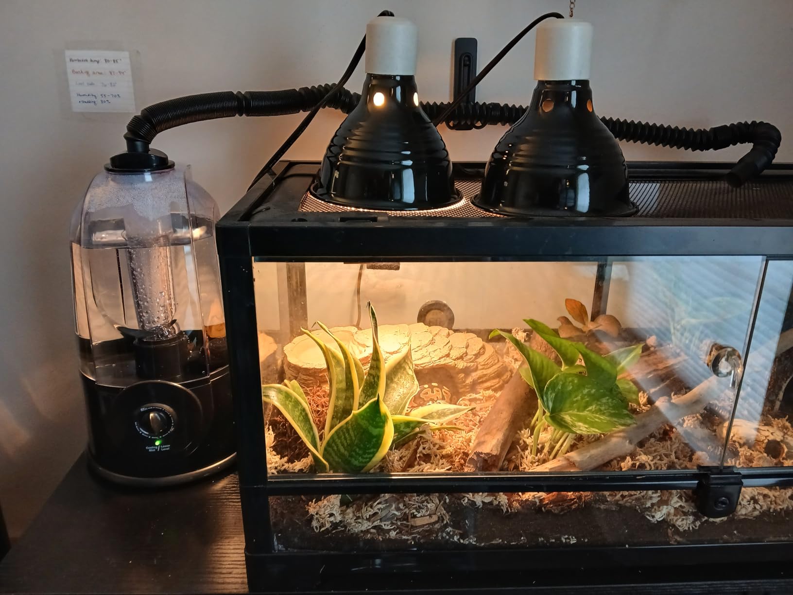 Coospider 3.8L Reptile Fogger Mister, Quiet Reptile Humidifier for Reptiles Tank, Terrarium Humidifiers, Reptile Misting System for Reptiles Amphibians Herps Vivarium (Dual Hose) customer photo 2